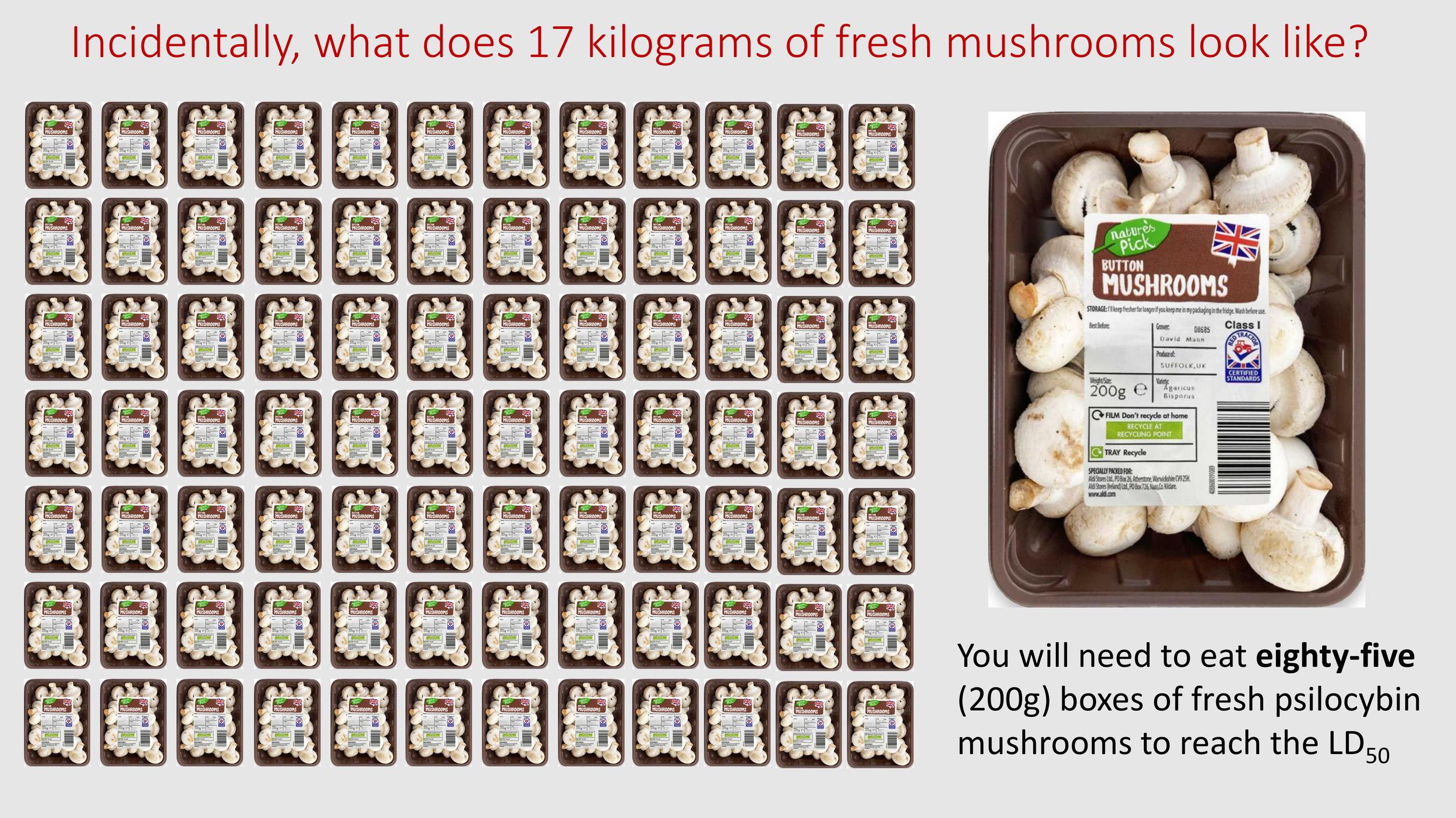 Introduction to The Psychedelic Renniasance - Vermont Psychedleics Conference - June 2022-23.png