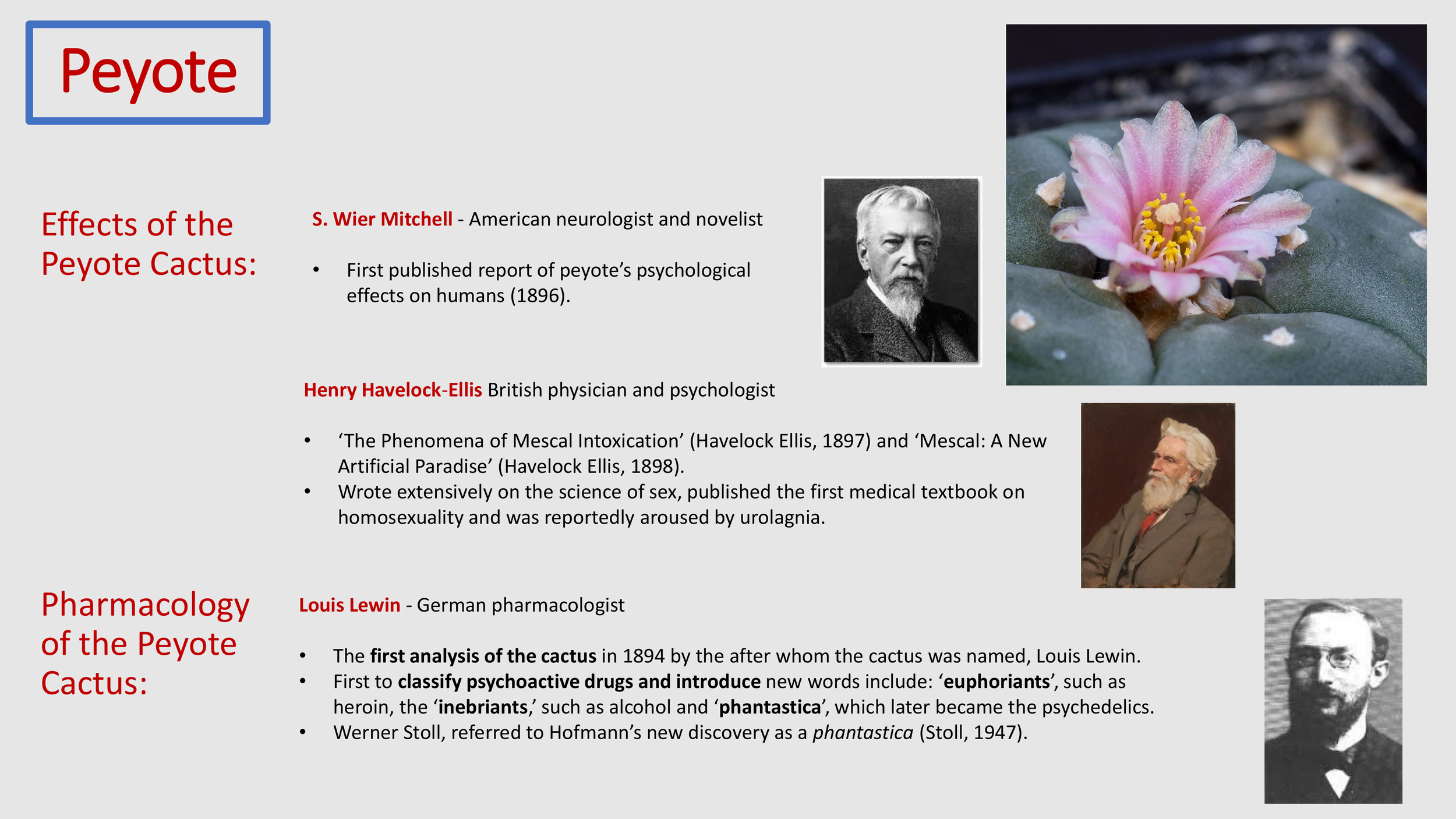 Introduction to The Psychedelic Renniasance - Vermont Psychedleics Conference - June 2022-35.png