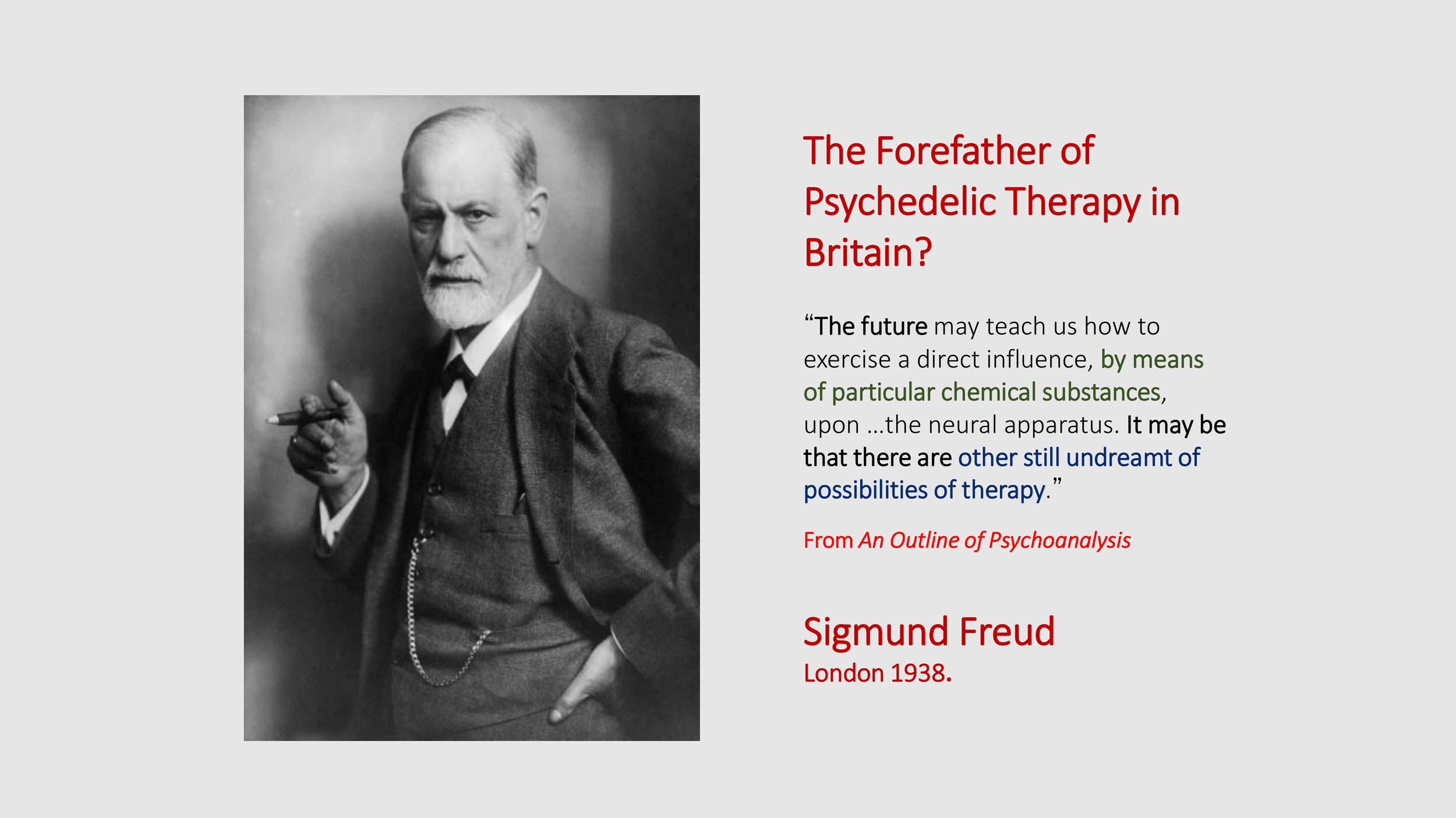 Introduction to The Psychedelic Renniasance - Vermont Psychedleics Conference - June 2022-93.png