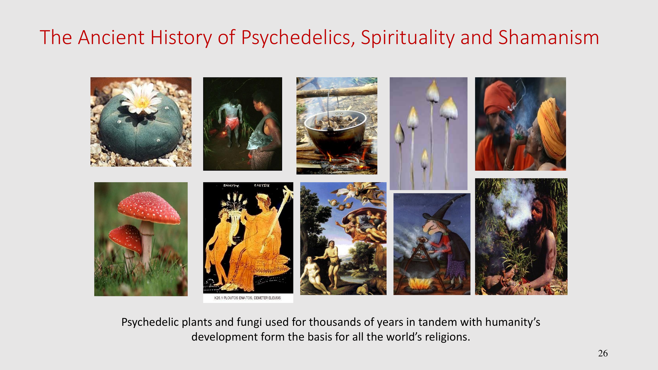 Introduction to The Psychedelic Renniasance - Vermont Psychedleics Conference - June 2022-26.png