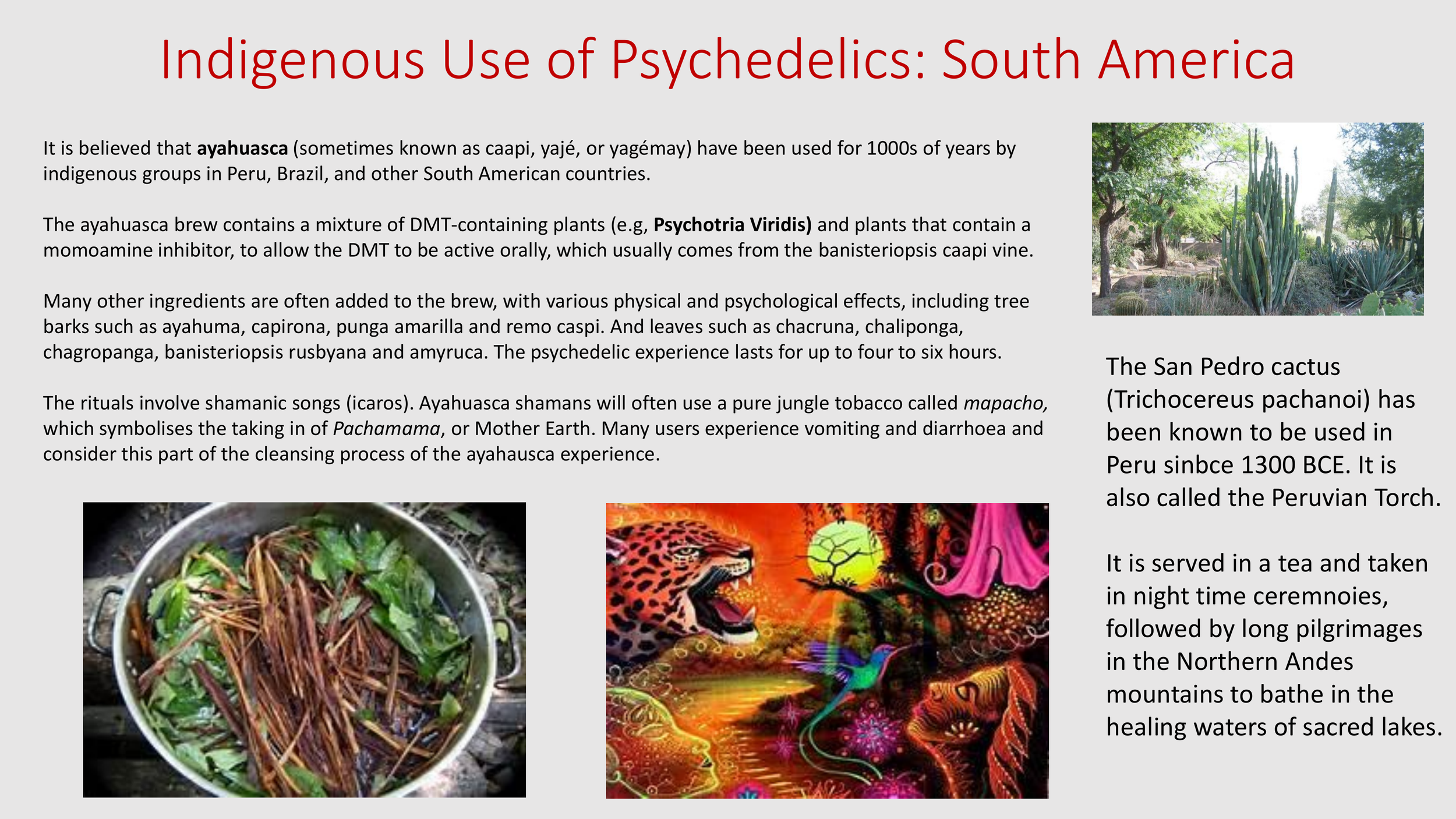 Introduction to The Psychedelic Renniasance - Vermont Psychedleics Conference - June 2022-28.png