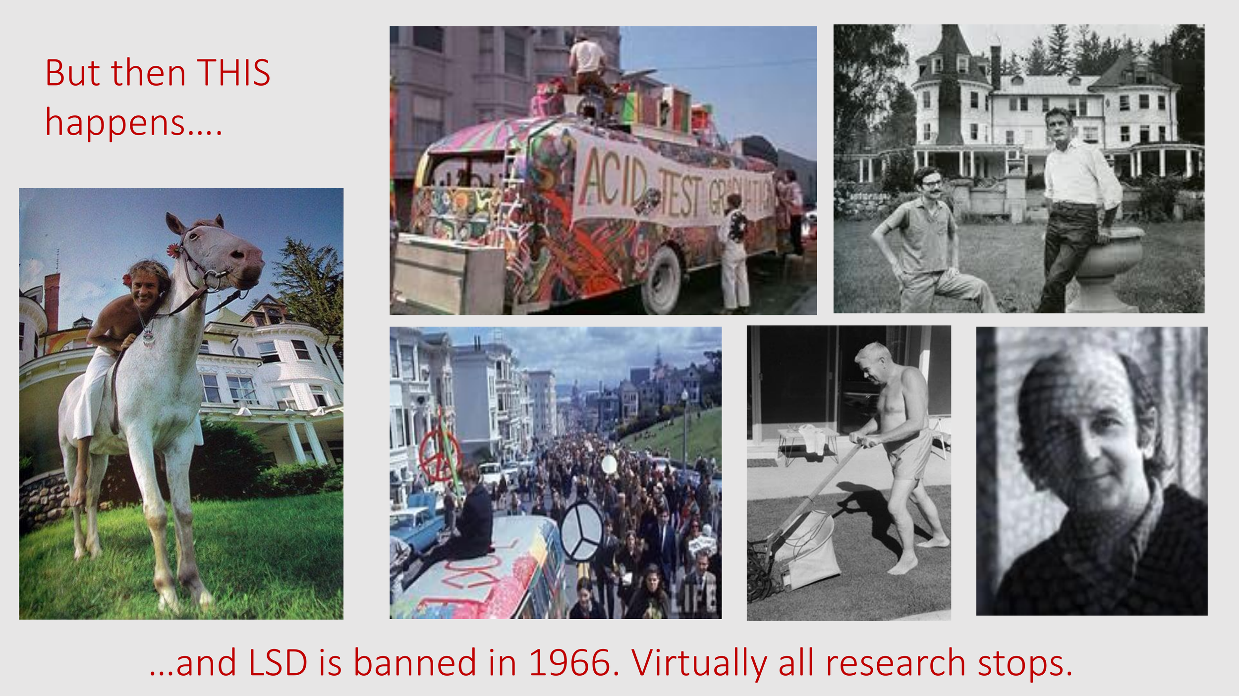 Introduction to The Psychedelic Renniasance - Vermont Psychedleics Conference - June 2022-48.png