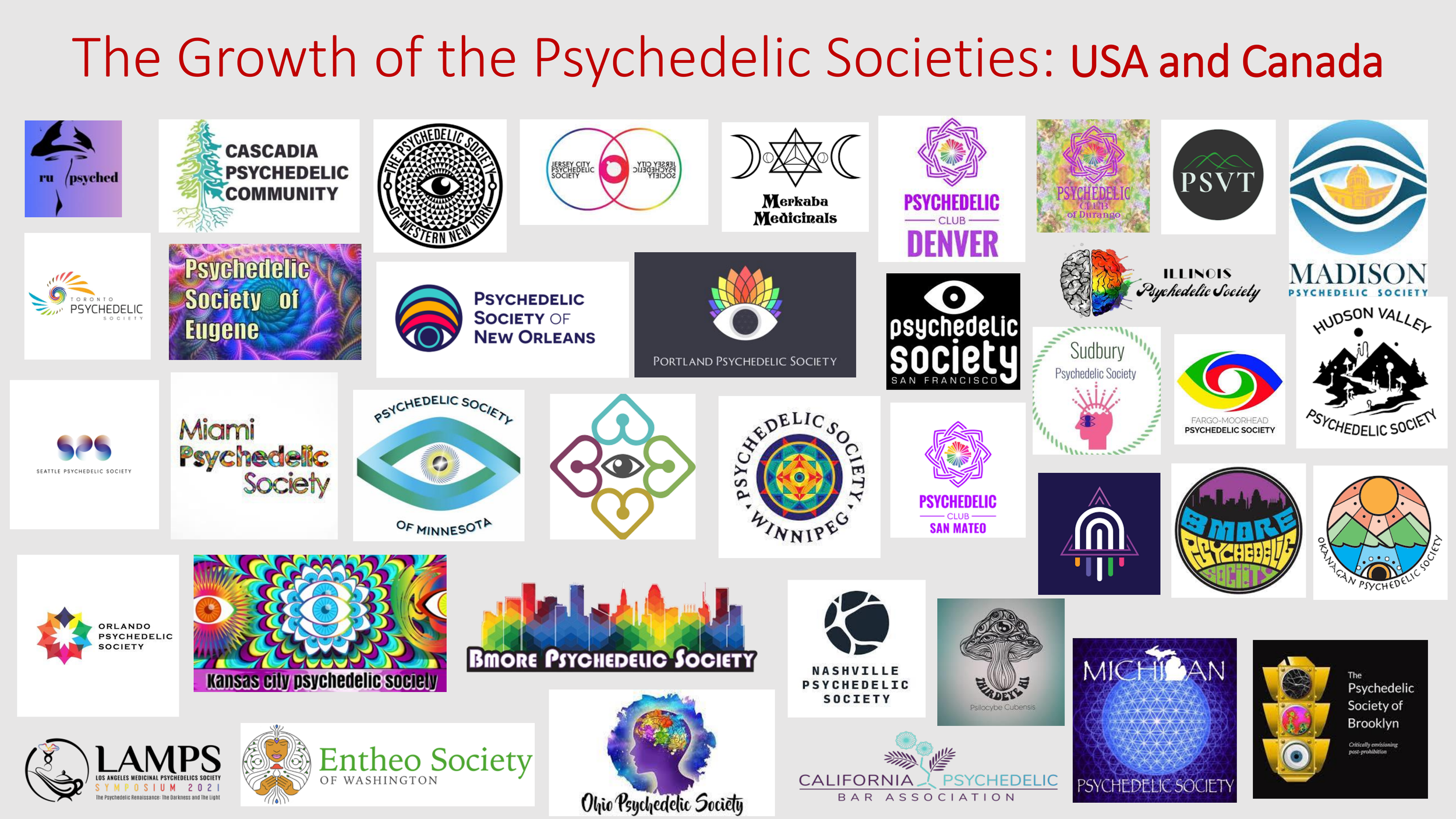 Introduction to The Psychedelic Renniasance - Vermont Psychedleics Conference - June 2022-79.png