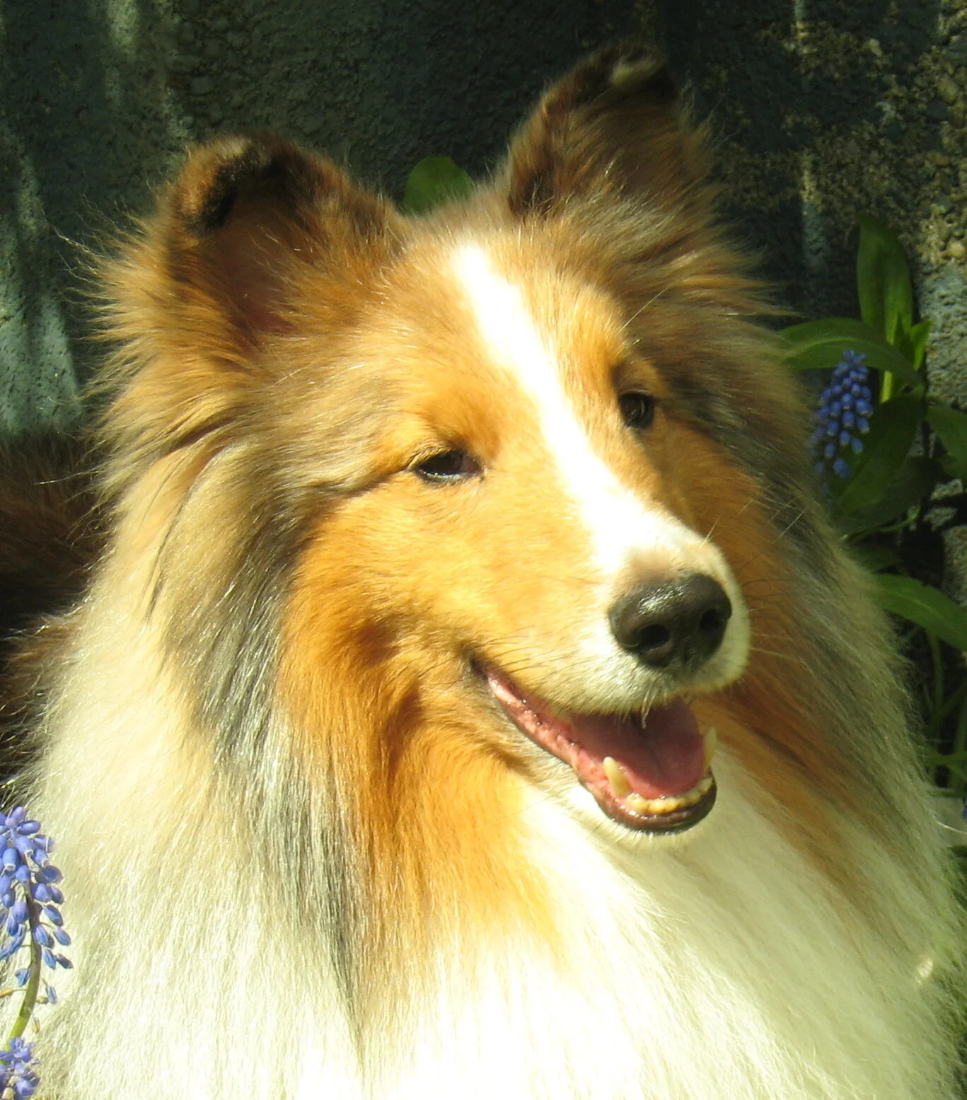 Buck Broatch's Ice Man