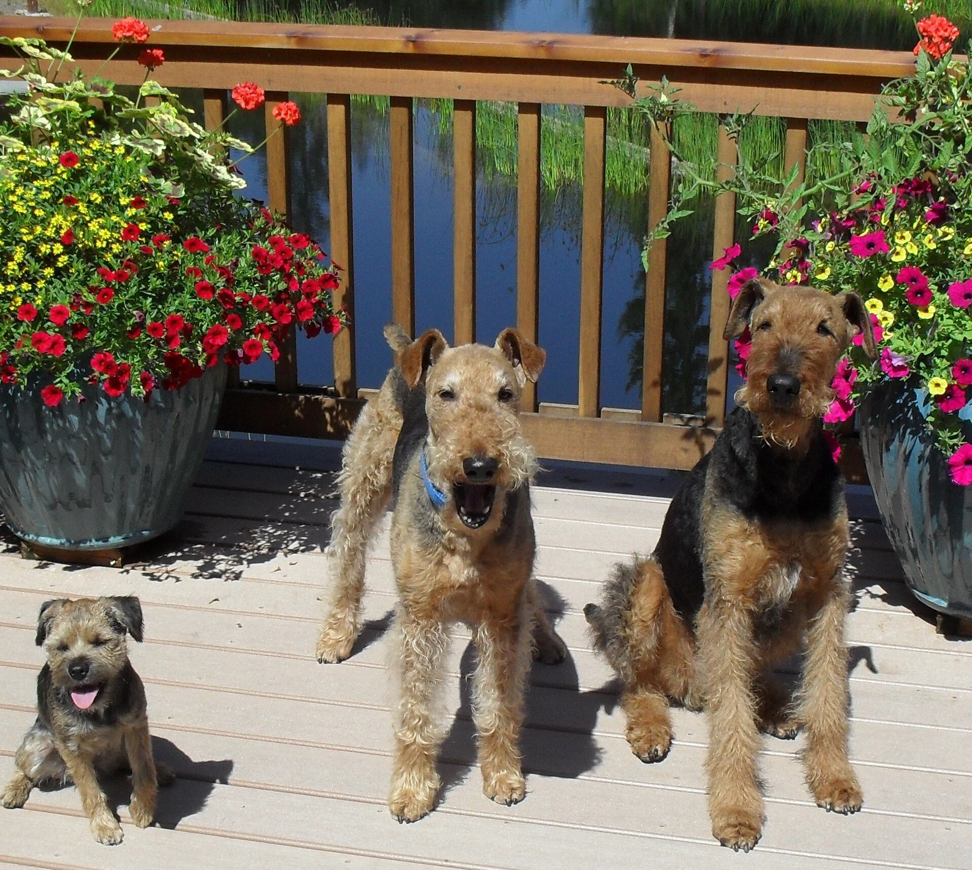 Cheryl Sackmann's Gala