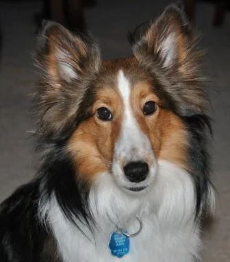 Linda Atkin's Kheela