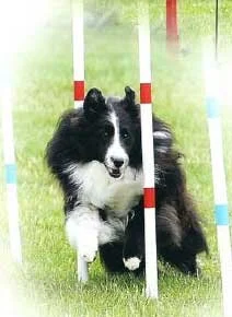 Marie Padovan's Zach