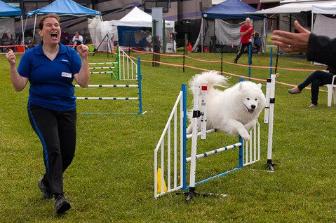 Teresa Brown's Caesar