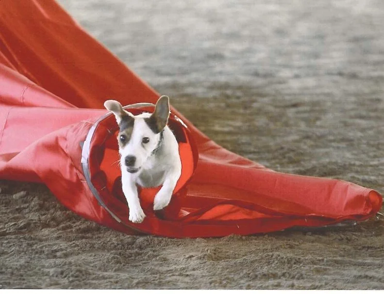 Kay Jackson's Doodles