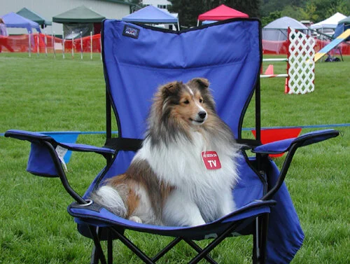 Jo Ann Mather's Dixie