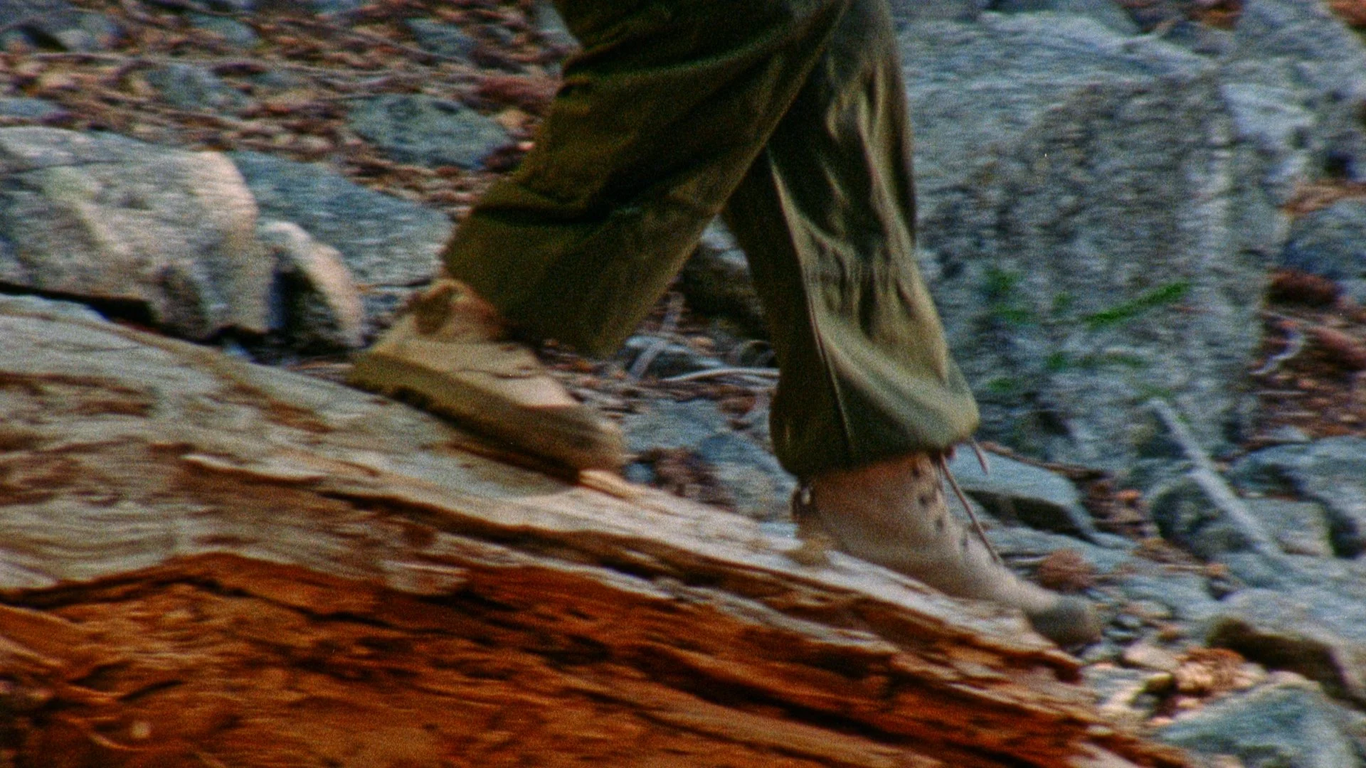 Still 2026-08-26 221411_3.3.1.jpg