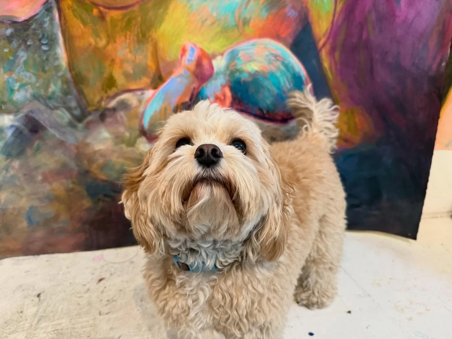 Tell my studio assistant to get back to work!