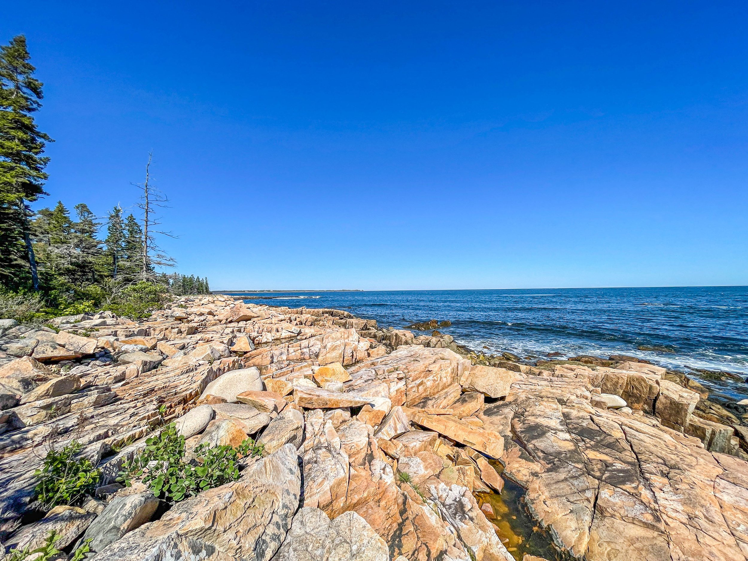 Oceanwood - Campgrounds - 1.jpg