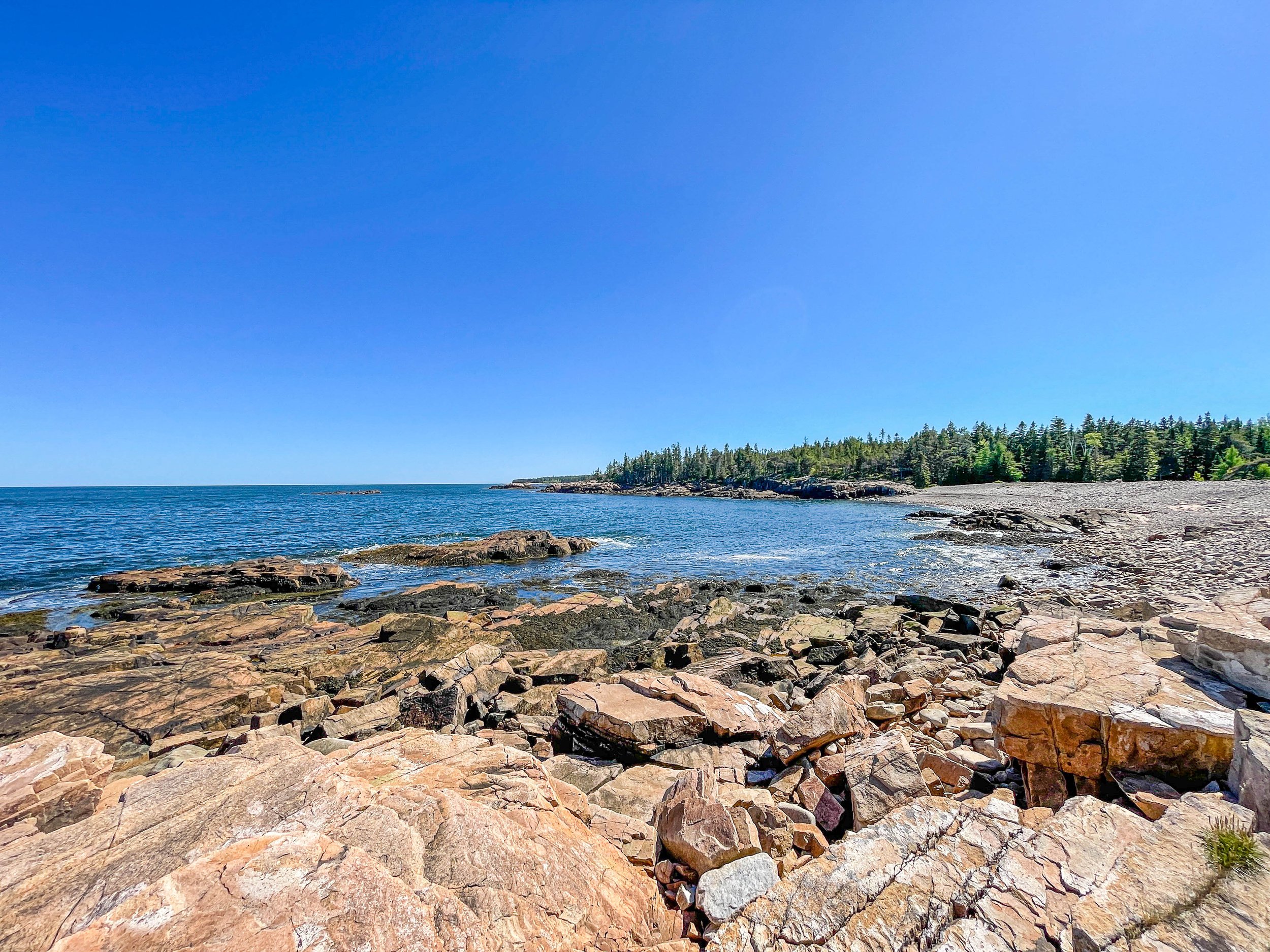 Oceanwood - Campgrounds - 2.jpg