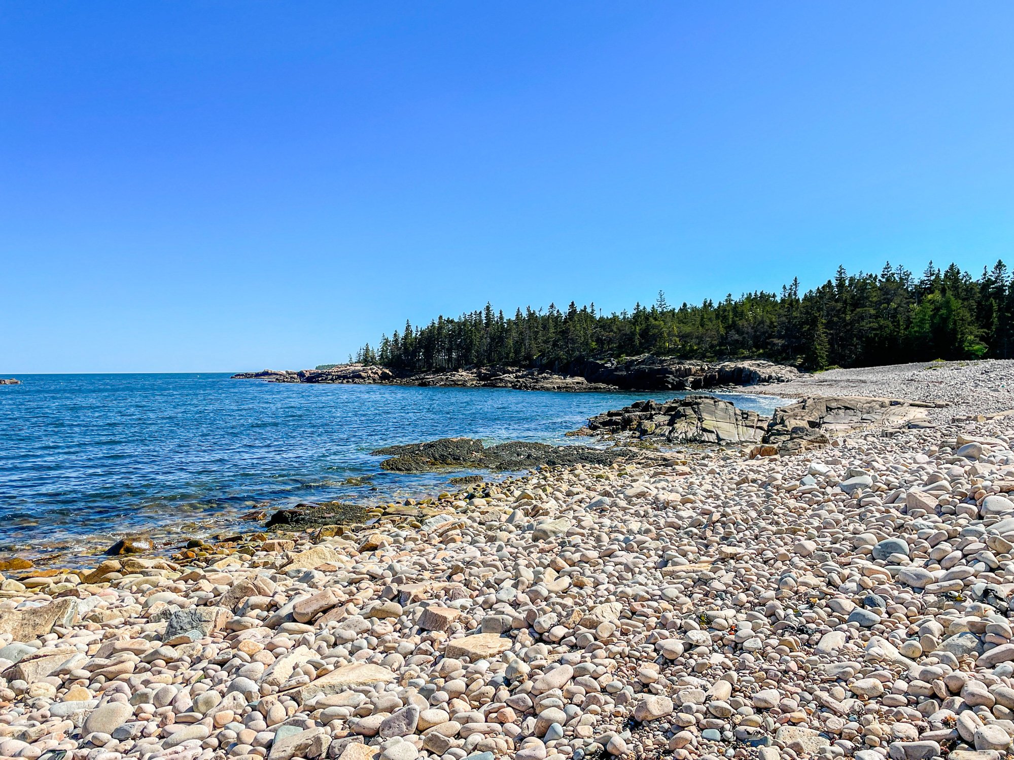 Oceanwood - Campgrounds - 4.jpg