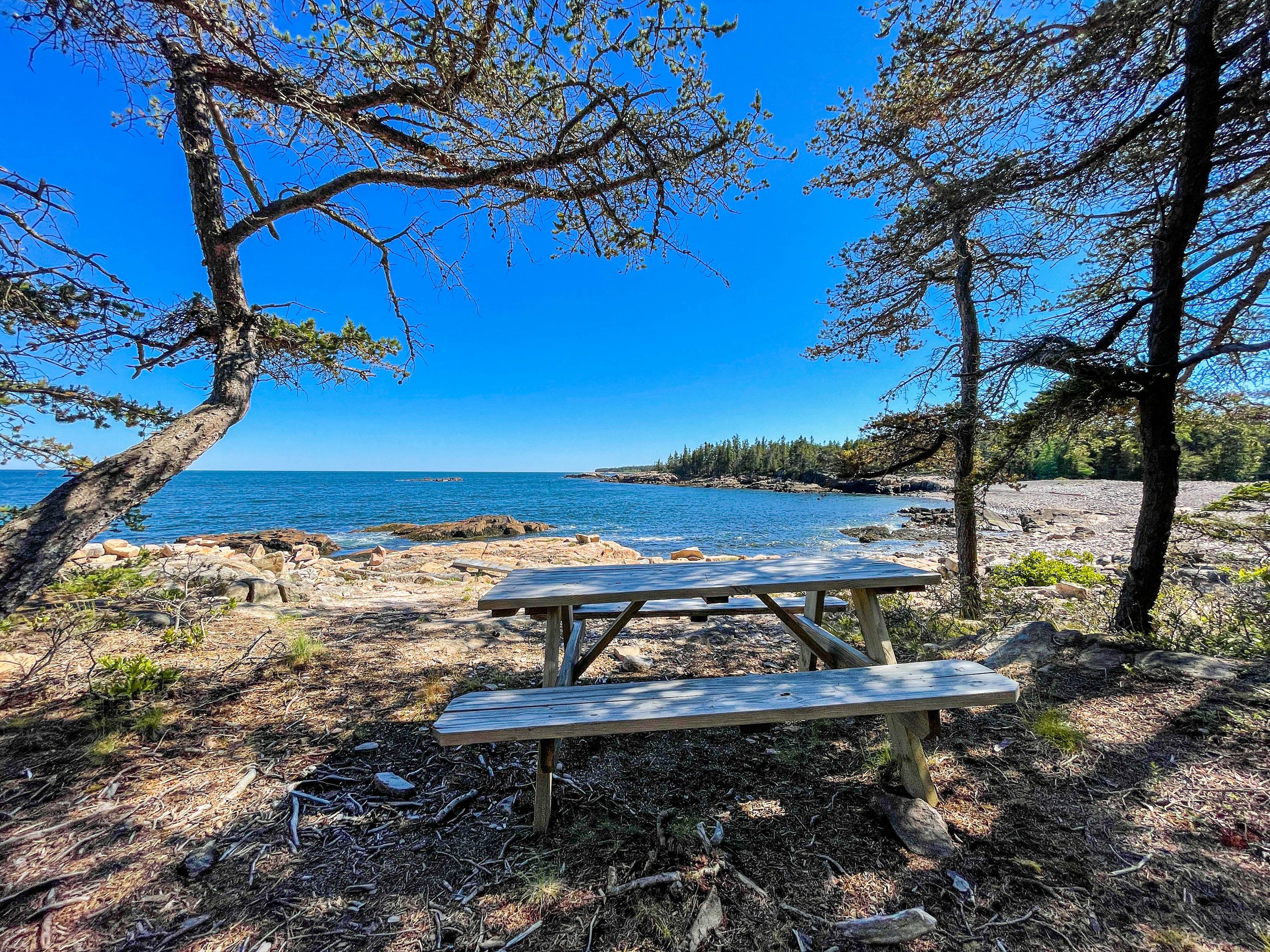 Oceanwood - Campgrounds - 3.jpg