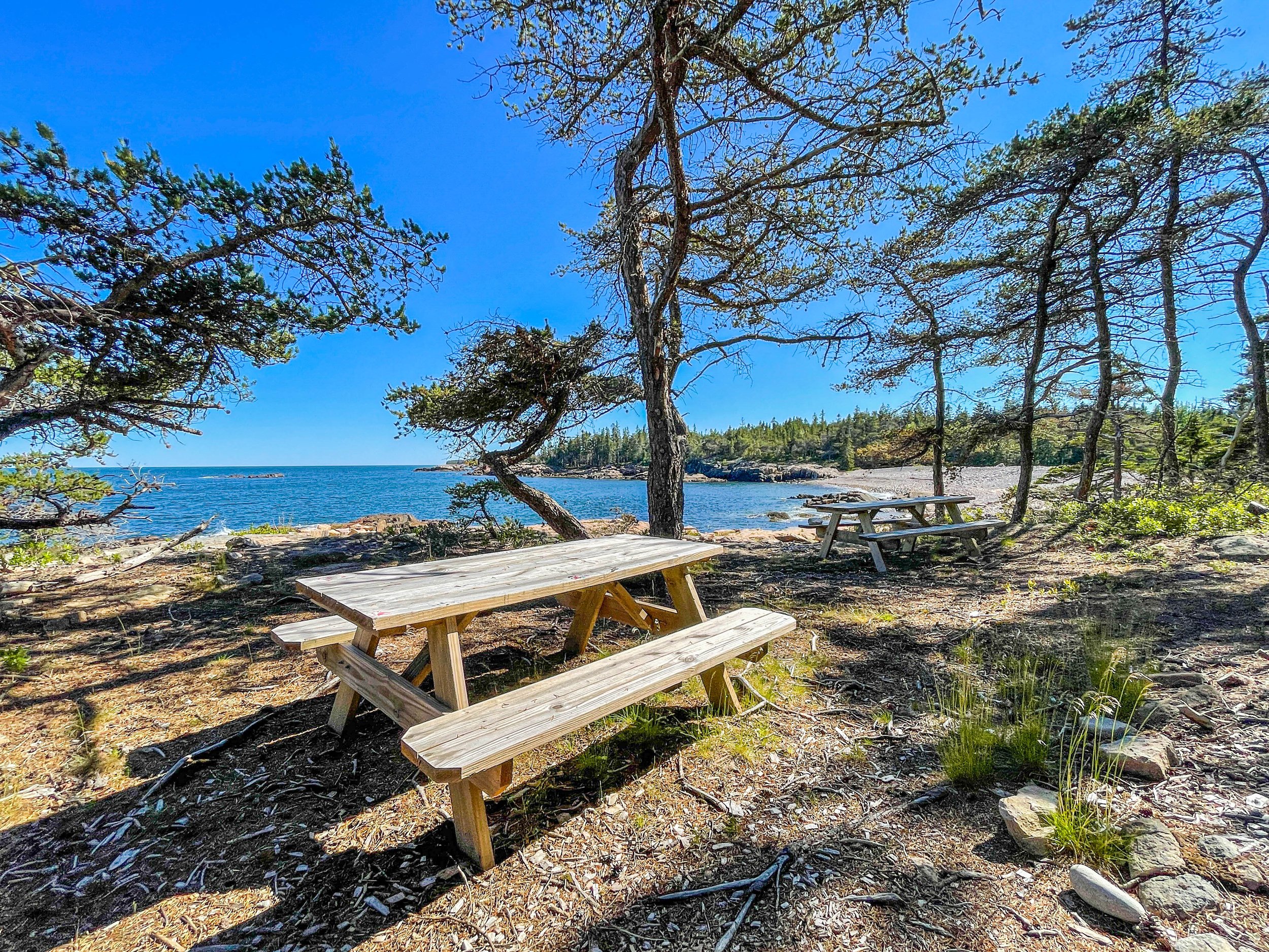 Oceanwood - Campgrounds - 6.jpg