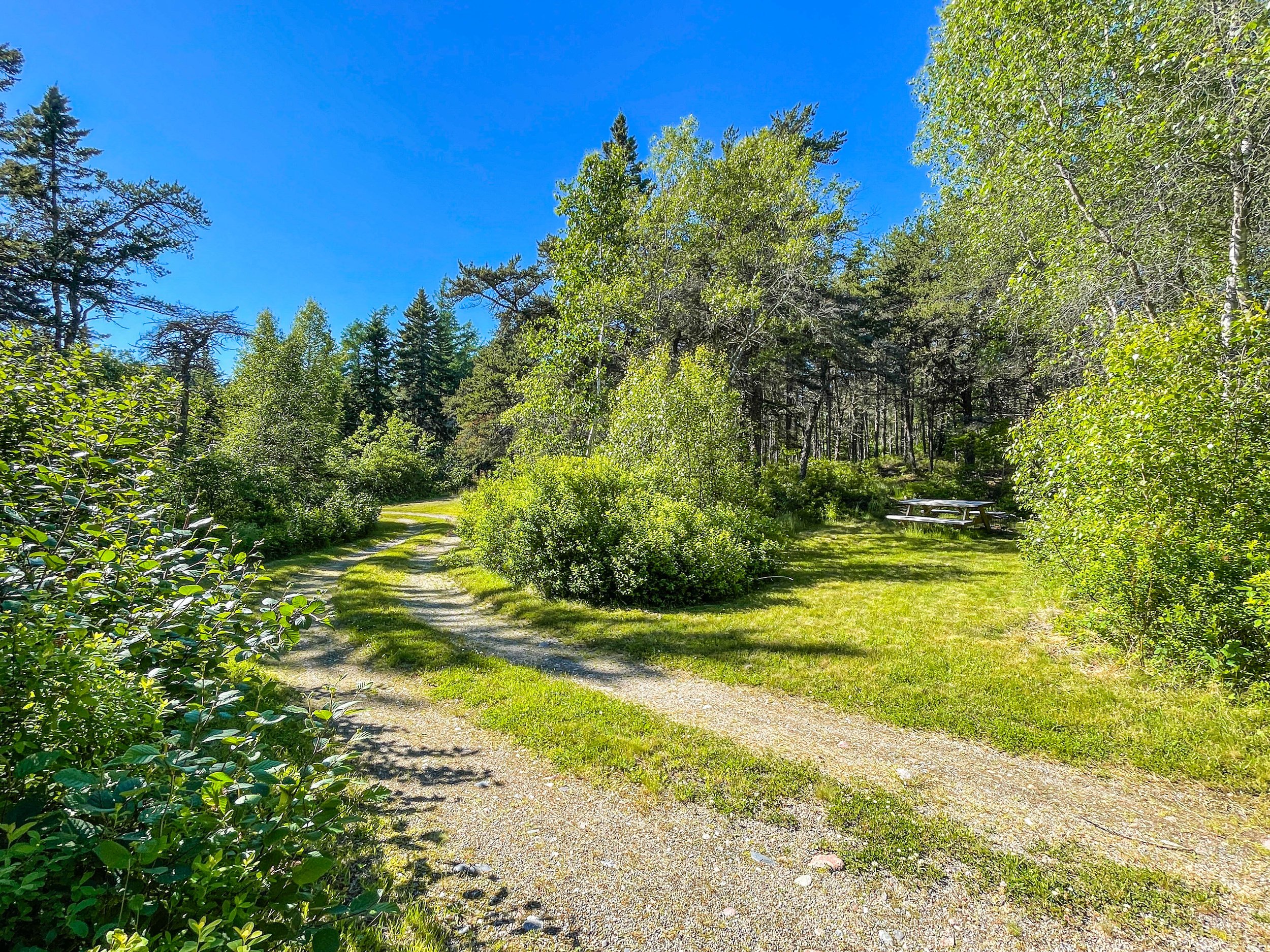 Oceanwood - Campgrounds - 7.jpg