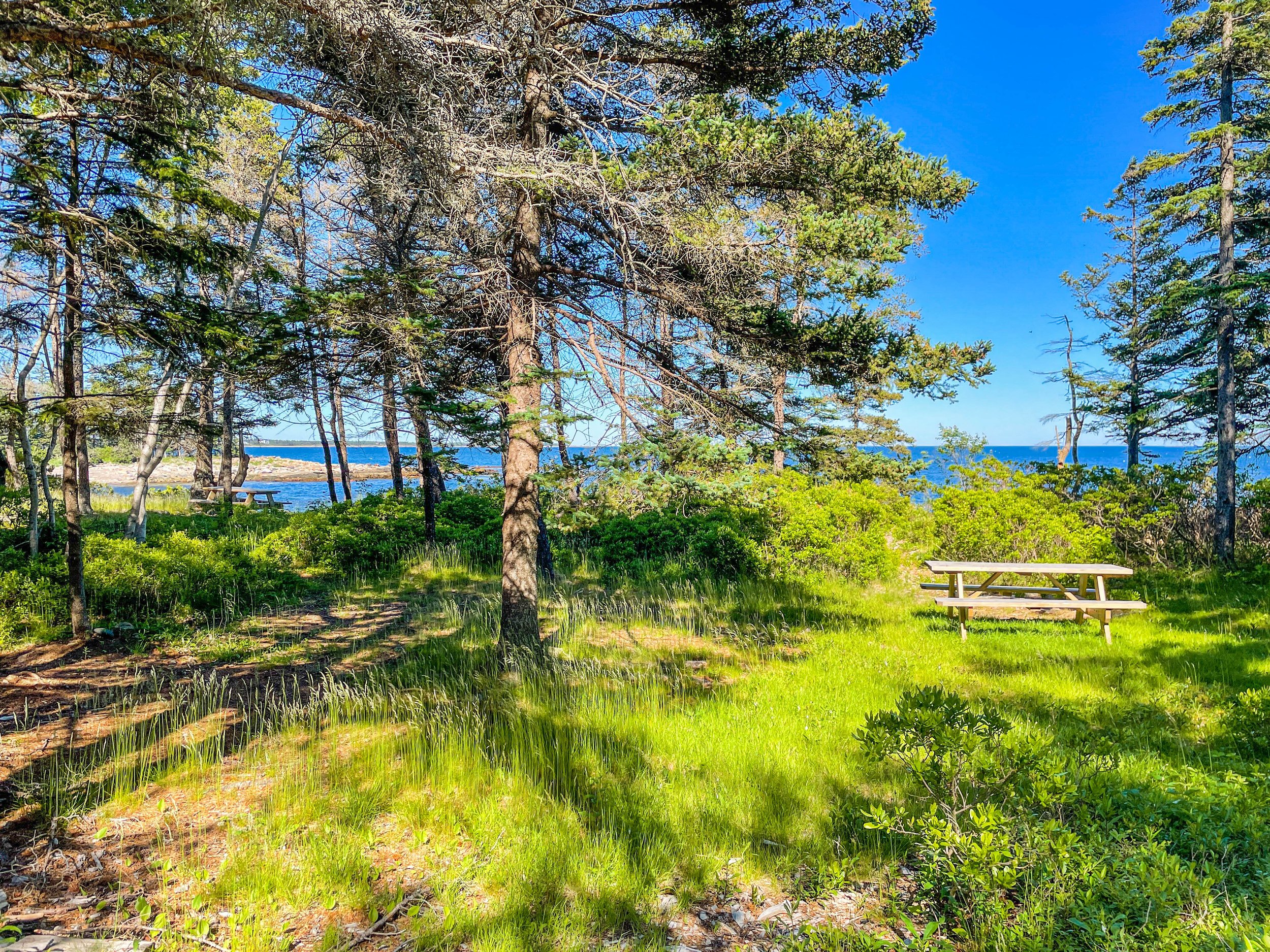Oceanwood - Campgrounds - 8.jpg