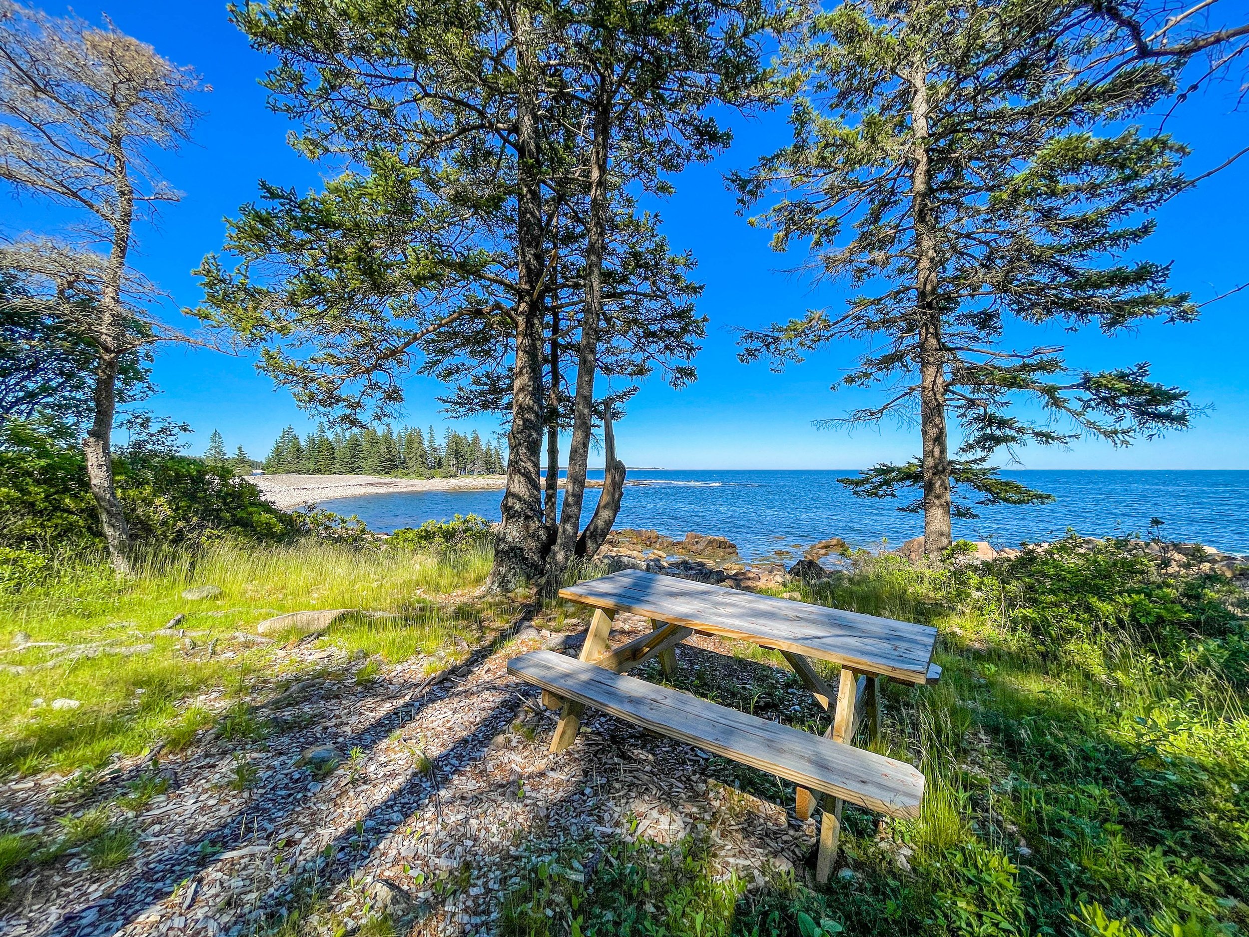 Oceanwood - Campgrounds - 9.jpg