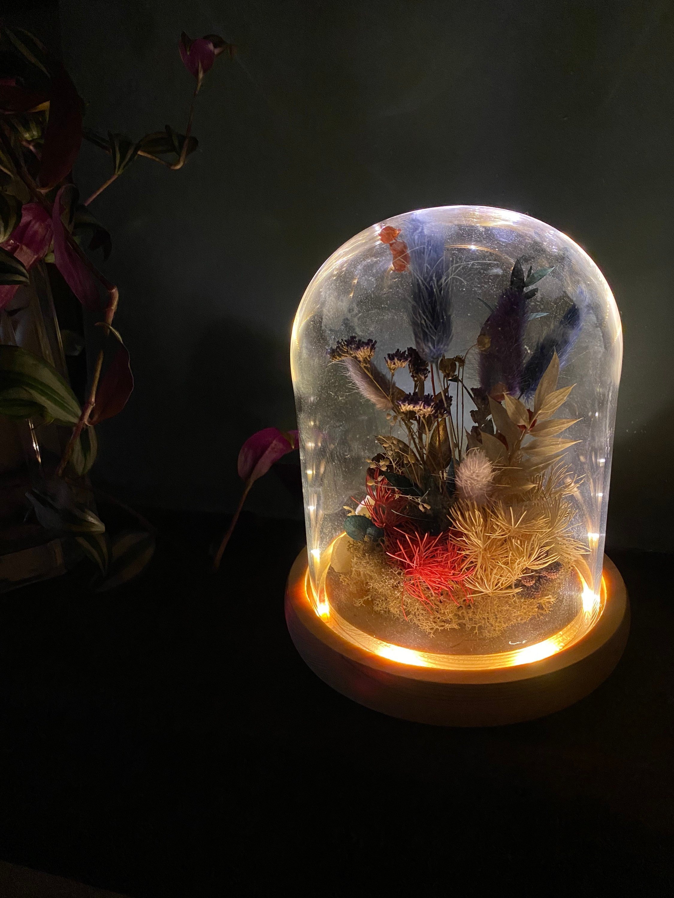 https://i.etsystatic.com/35793506/r/il/41310a/4474170902/il_fullxfull.4474170902_btcq.jpg