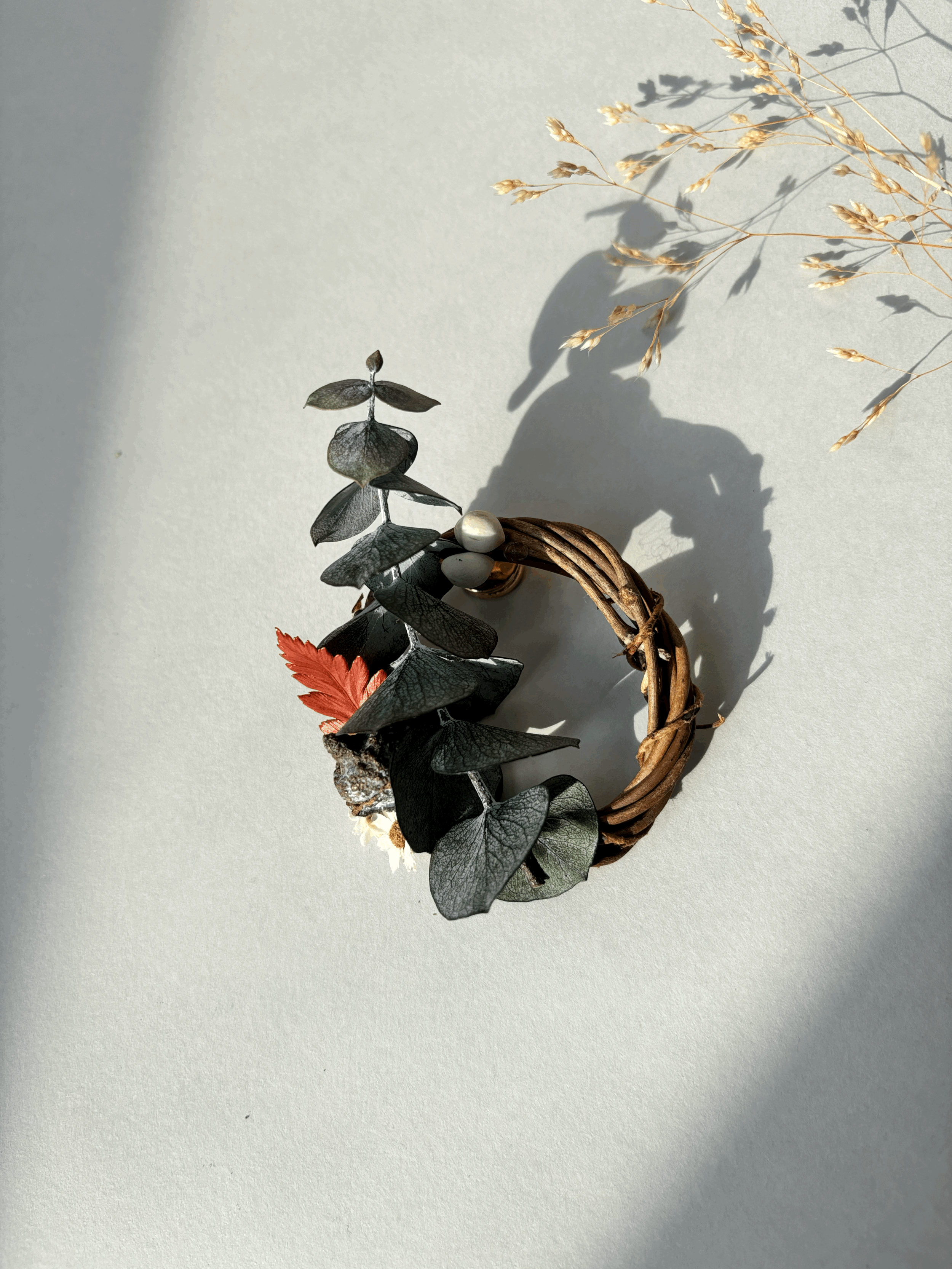 tempImageqJsIpj.gif (Copy)