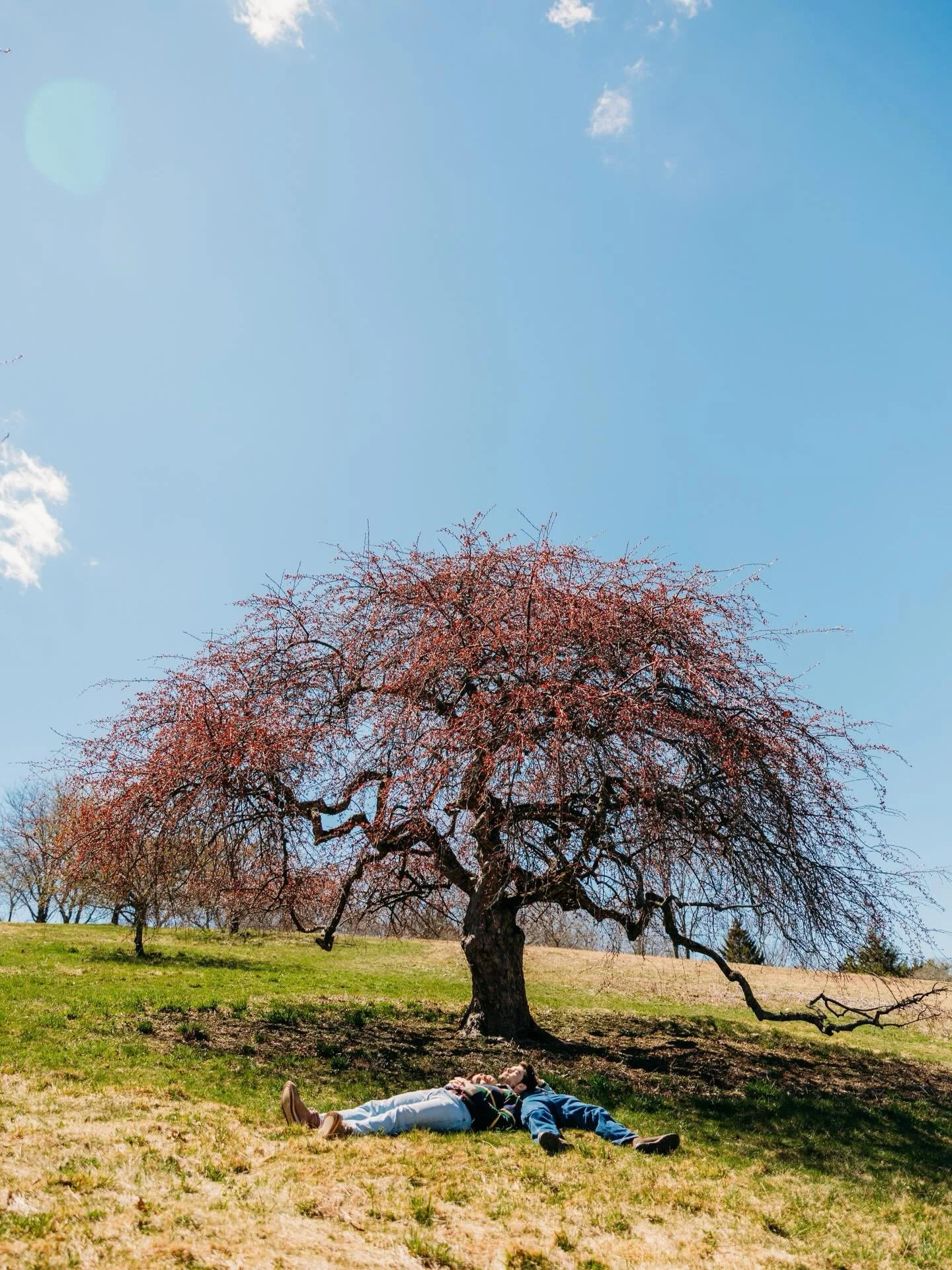 Ben + Gavin + spring at the Arnold Arboretum 🌾

I&rsquo;ve known Ben all my life, and we&rsquo;ve shared many an interest in books and movies and shows and nerdy interests as we navigated our way through school, up until graduating high school in 20