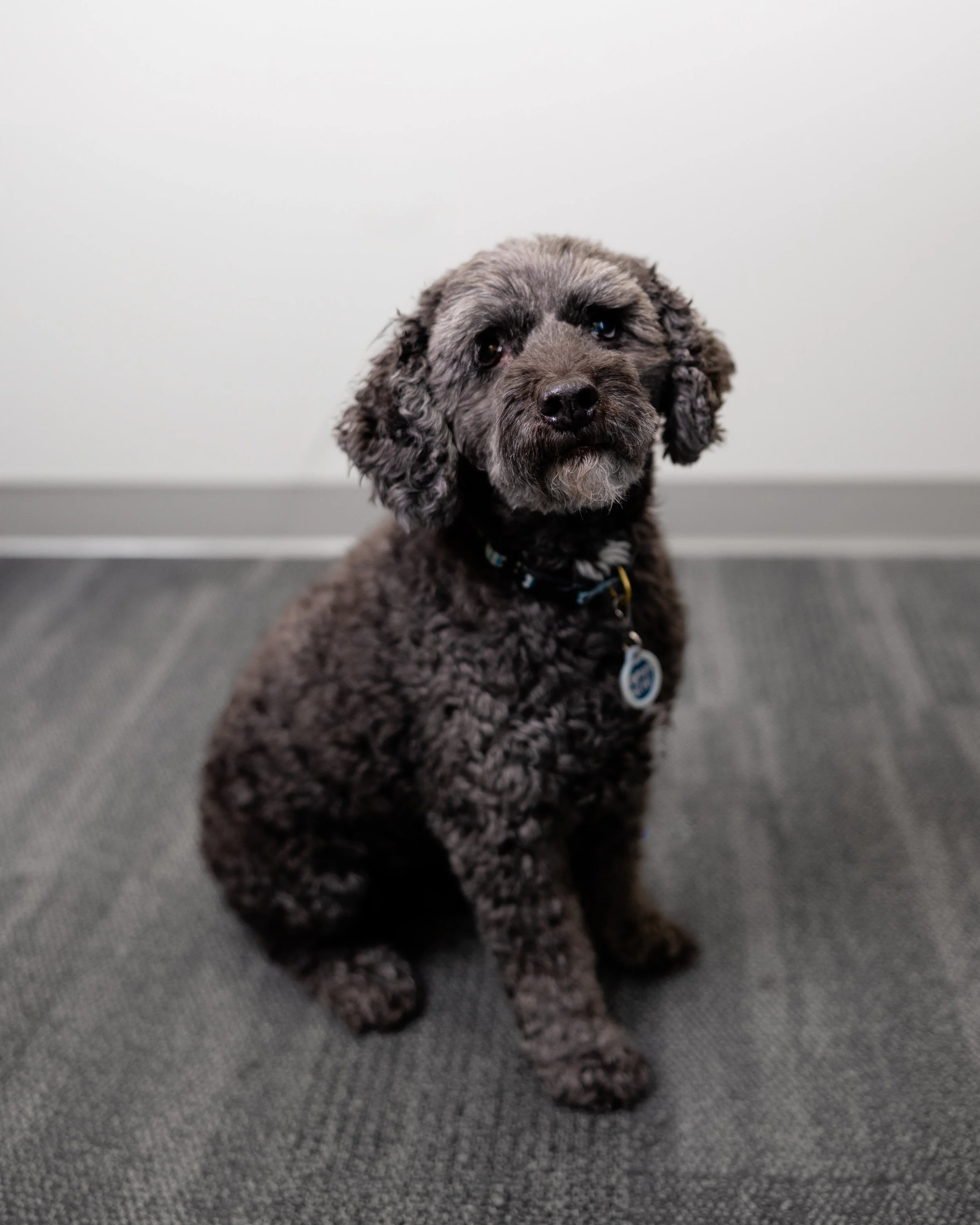 Massachusetts Corporate Headshots