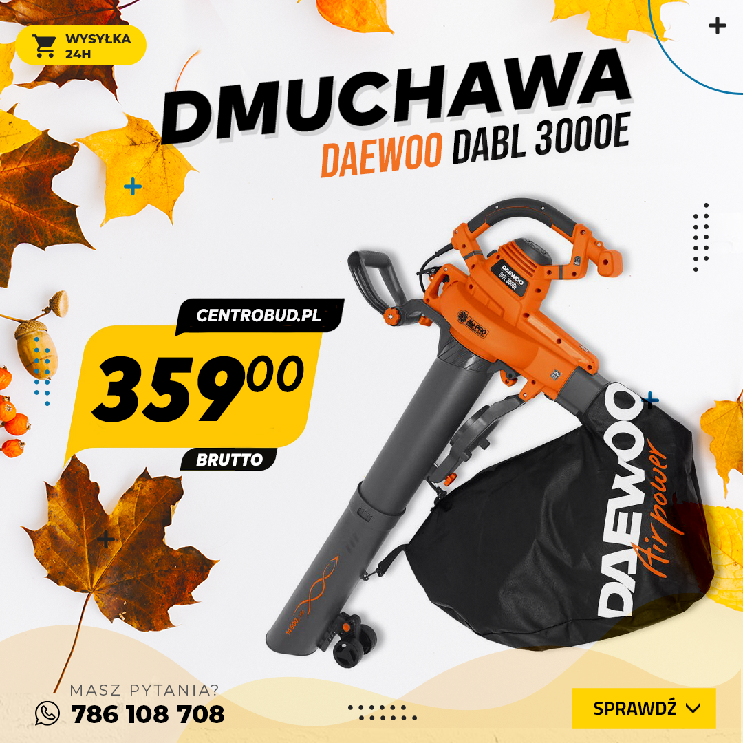 DMUCHAWA.png