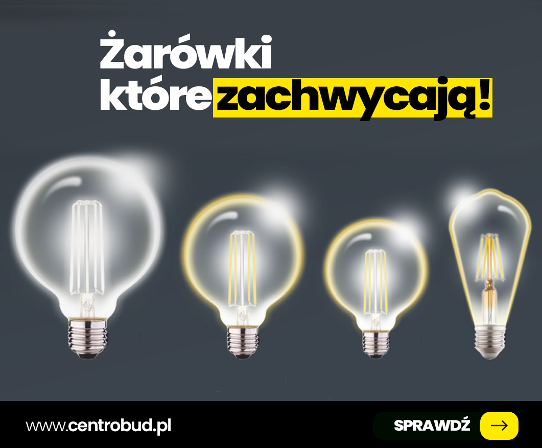 żarówkix.png