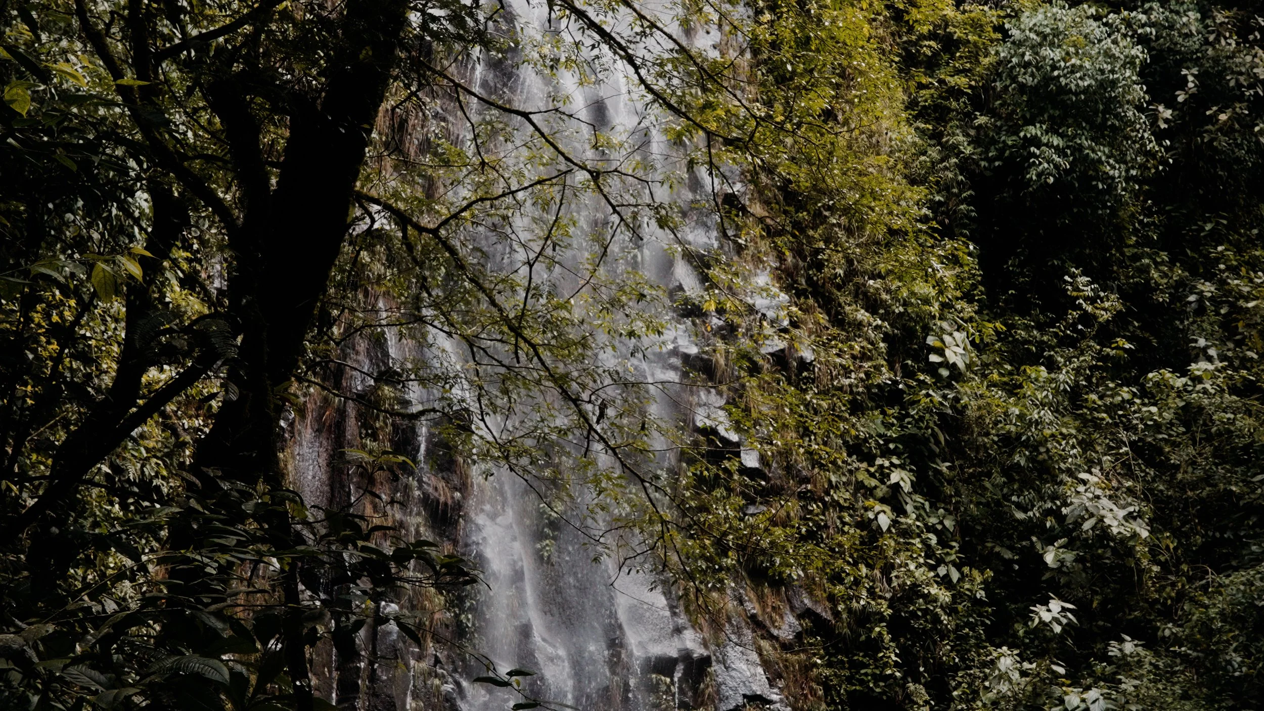 Costa Rica Photo 20.jpg