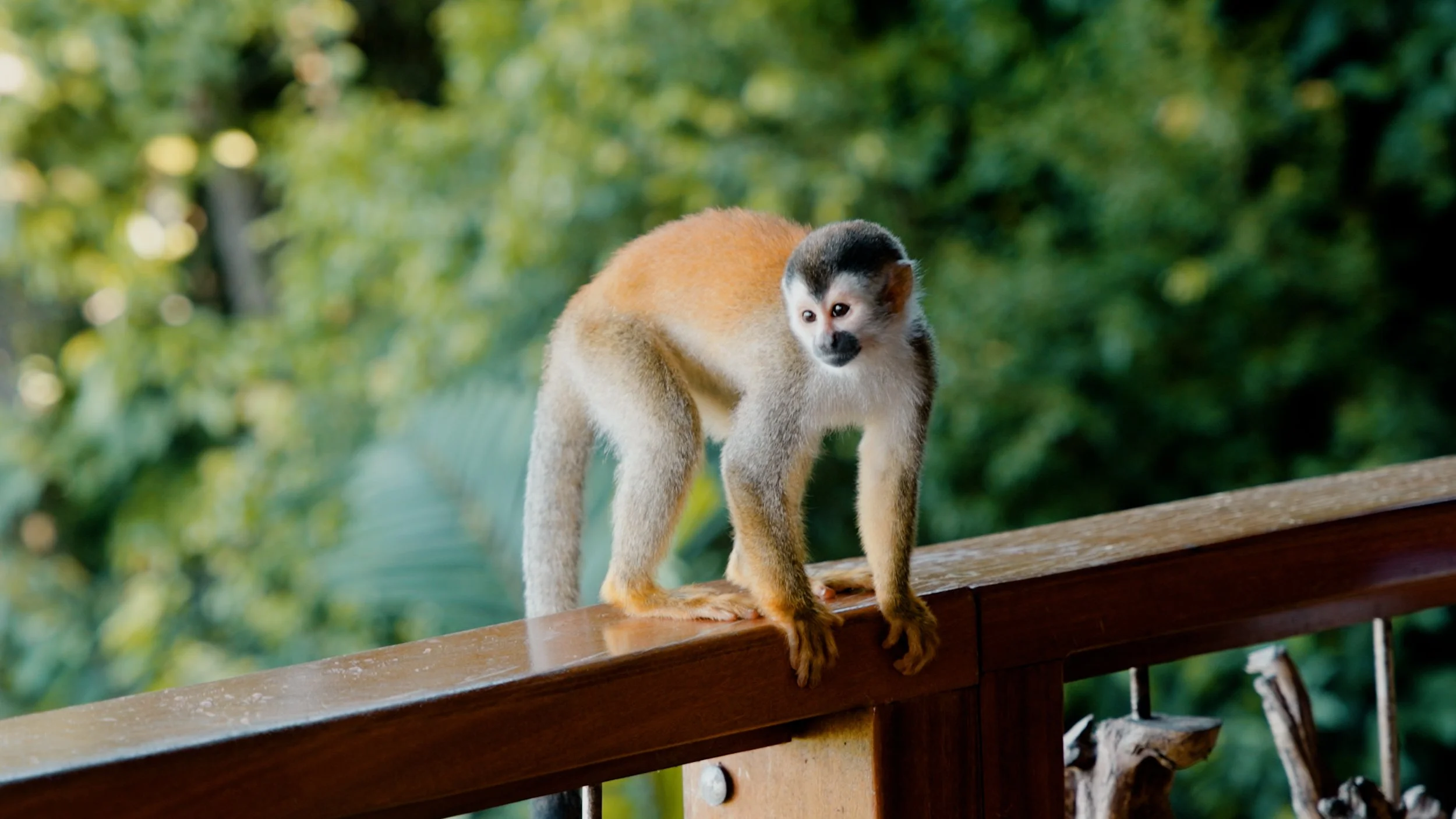 Costa Rica Photos 38.jpg