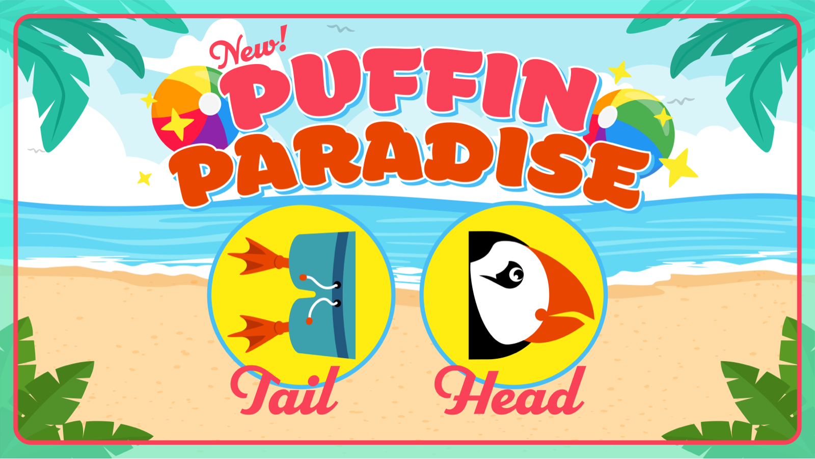 Puffin Corey Alexander_Twitter Post.png