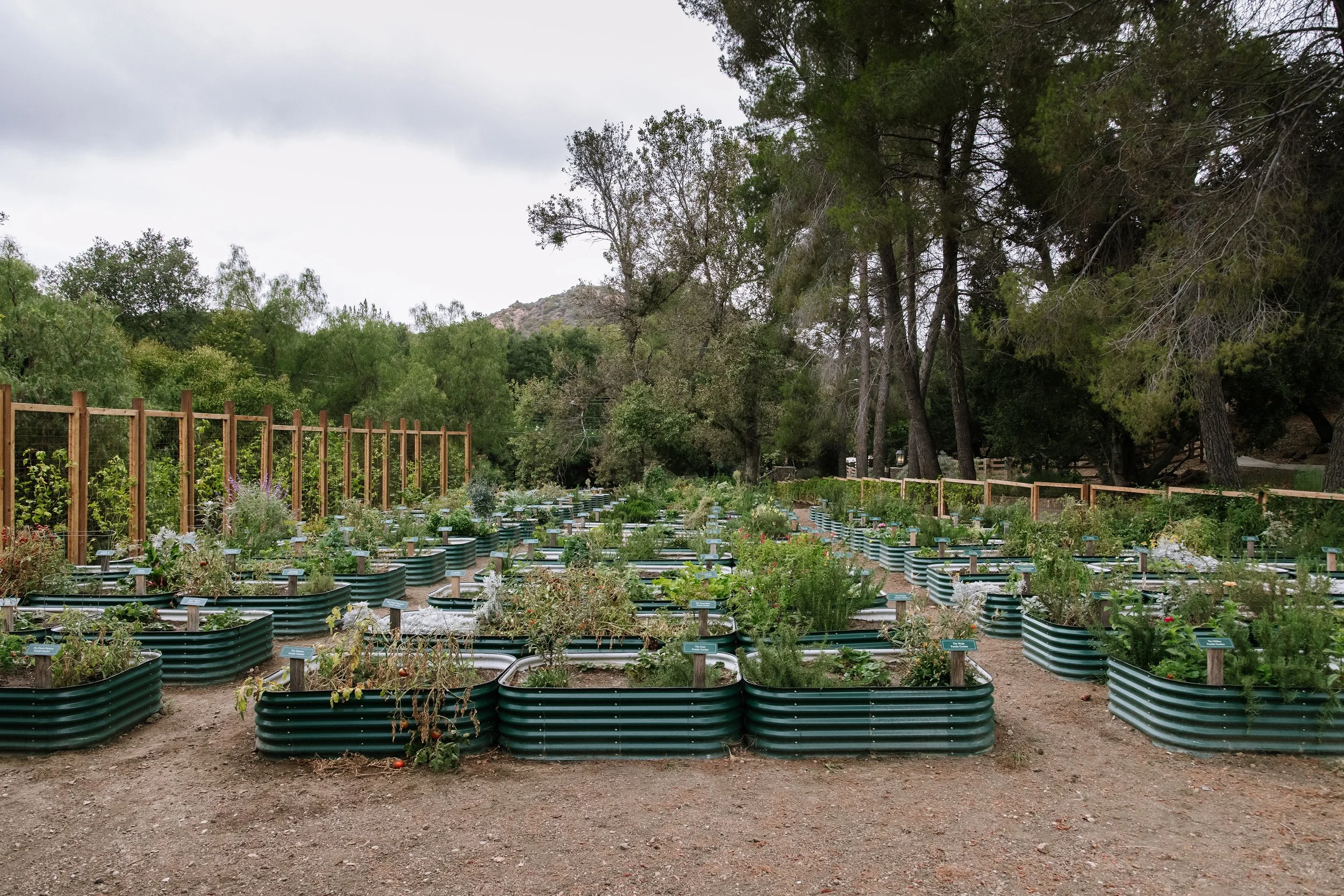 Calamigos_Membership_gardens 8.jpg