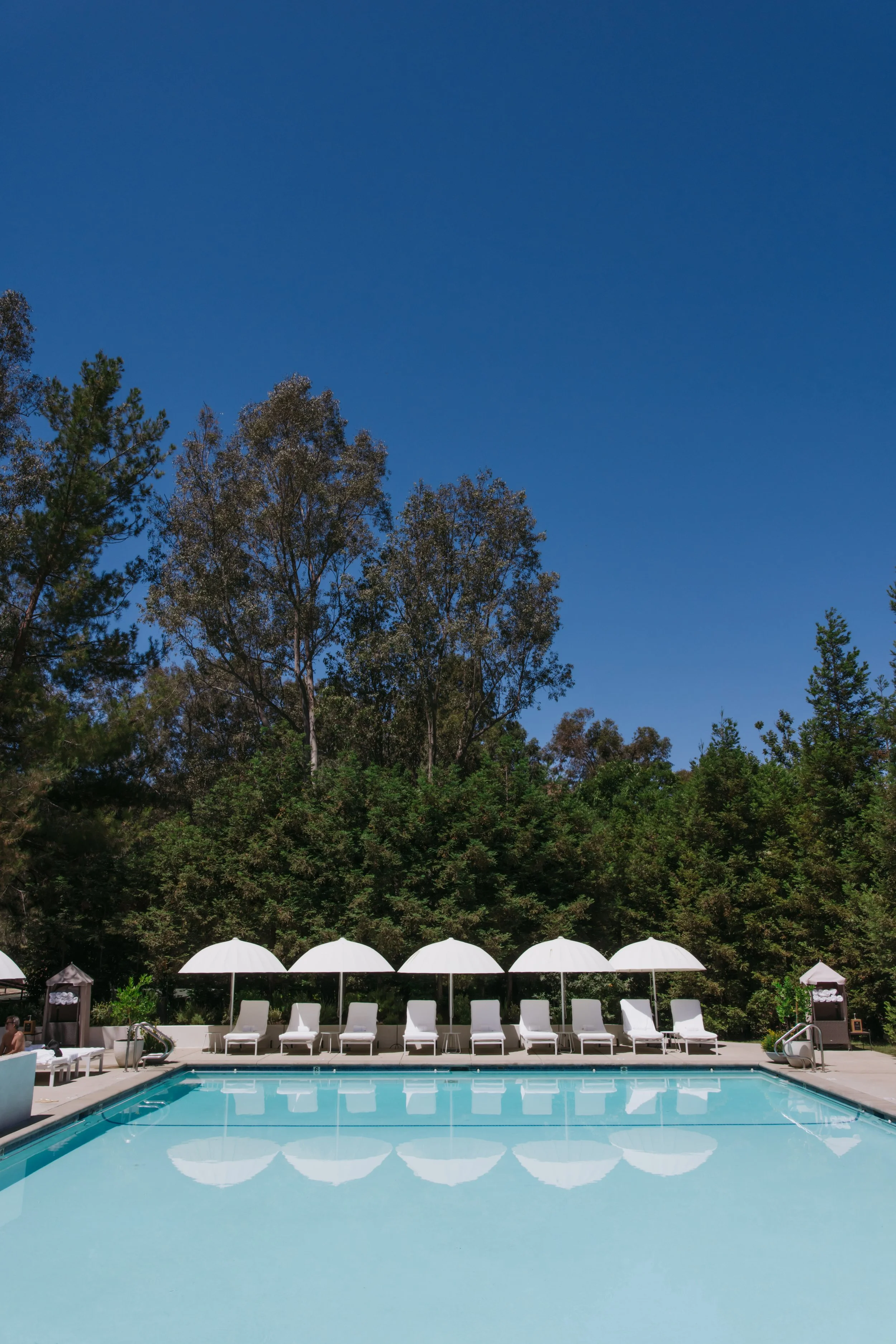 members resort pool.jpg