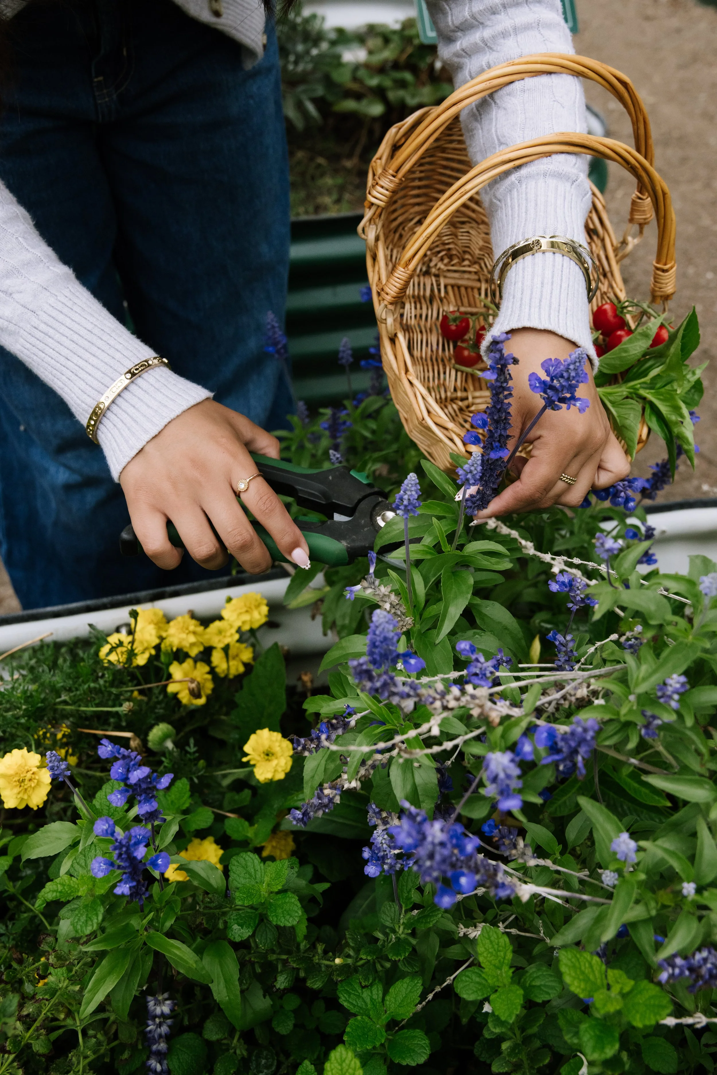 Calamigos_Membership_gardens 5.jpg