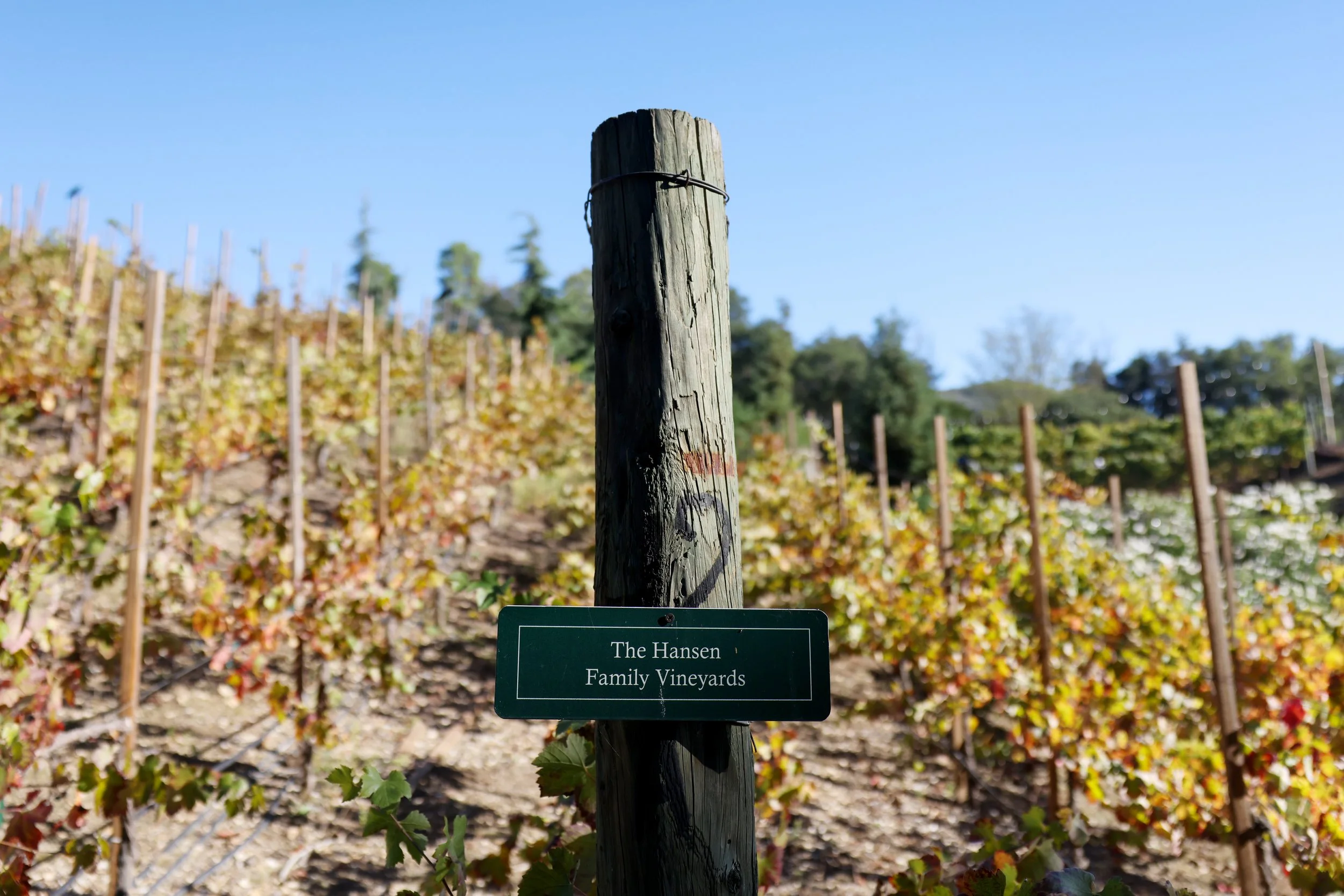 calamigos family vineyards.JPG