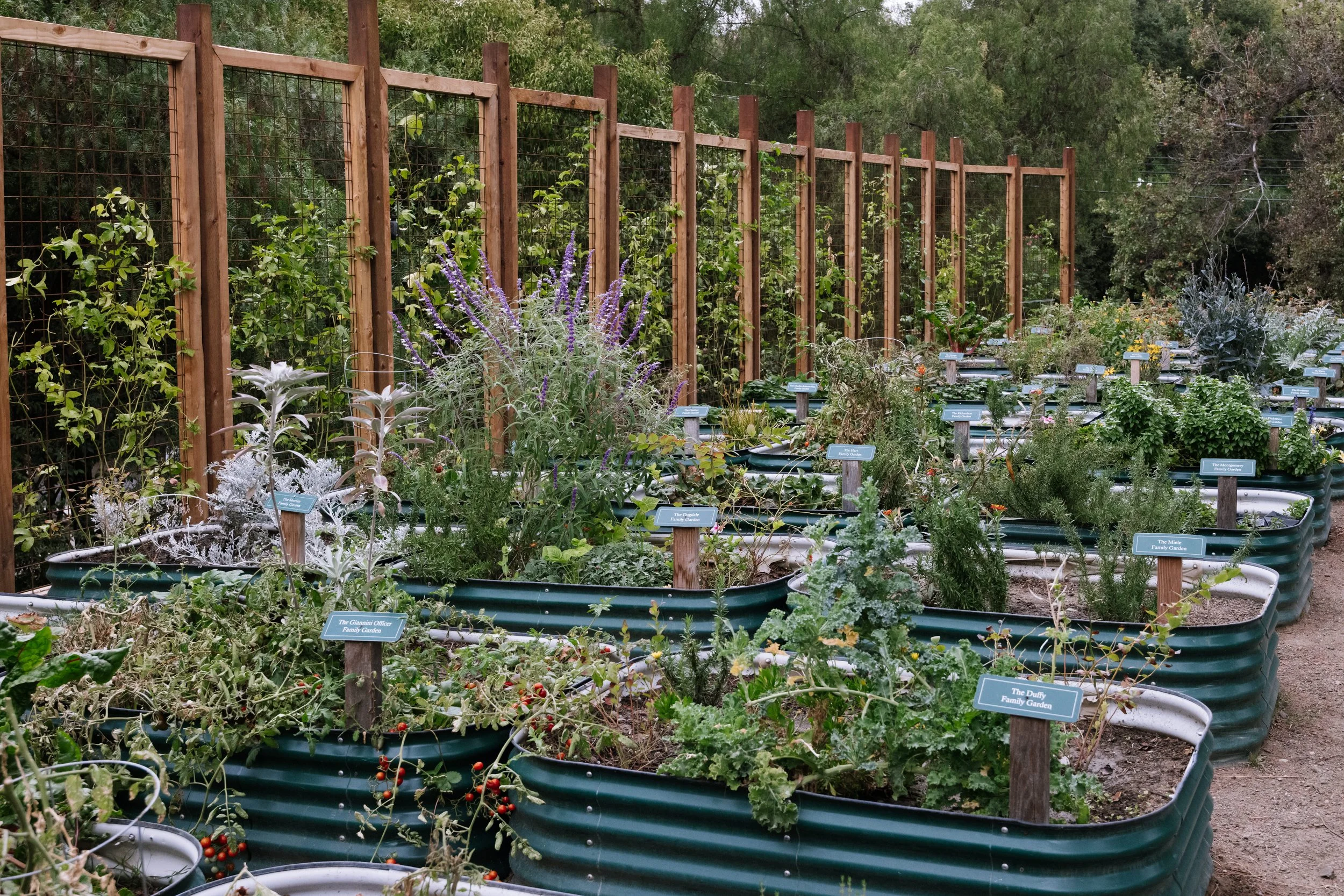 Calamigos_Membership_gardens 4.jpg