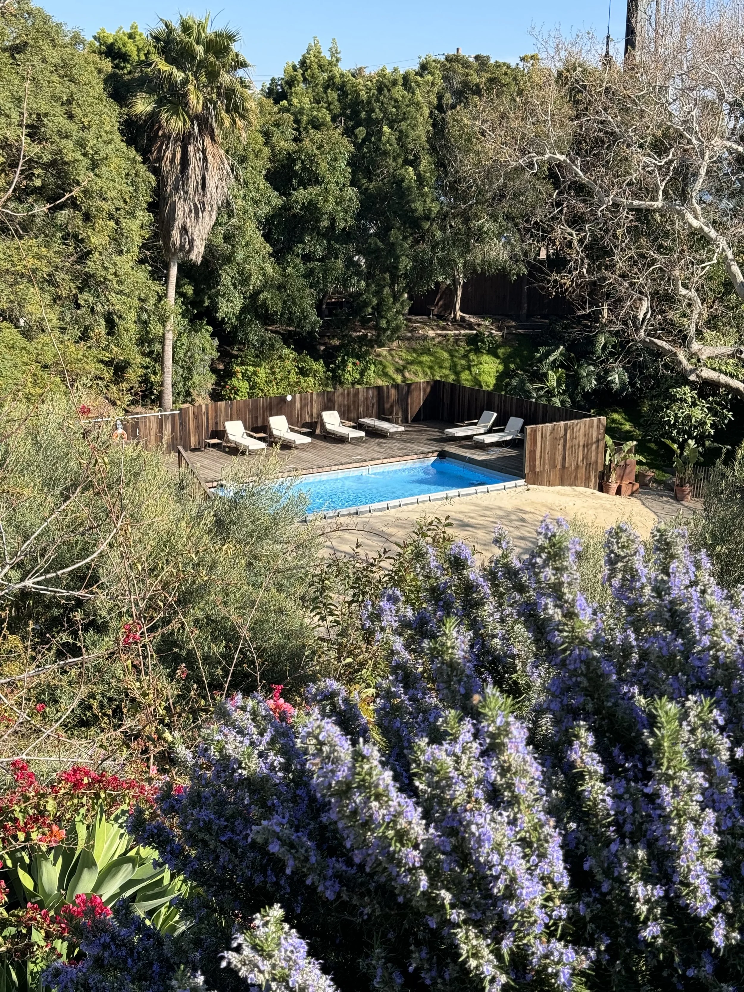 beach club new-2.jpg