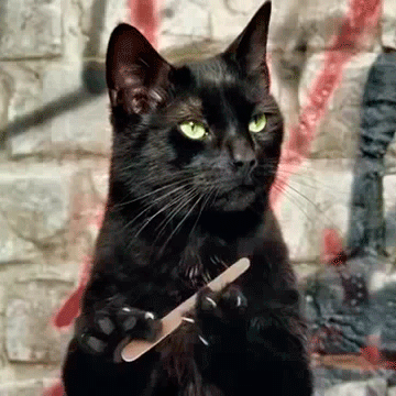 A gif image of a black cat filing it's nails