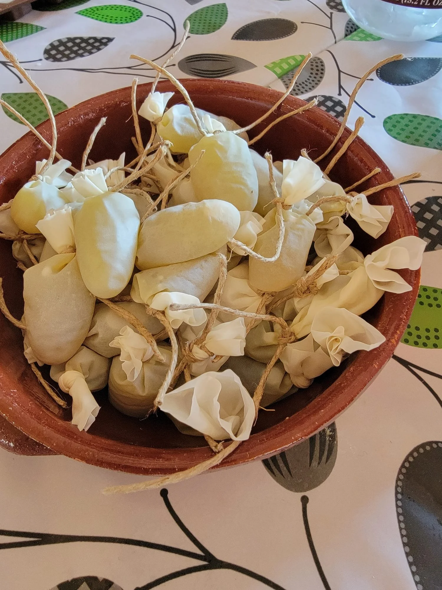 Specializzazione di Ginecologia Naturale