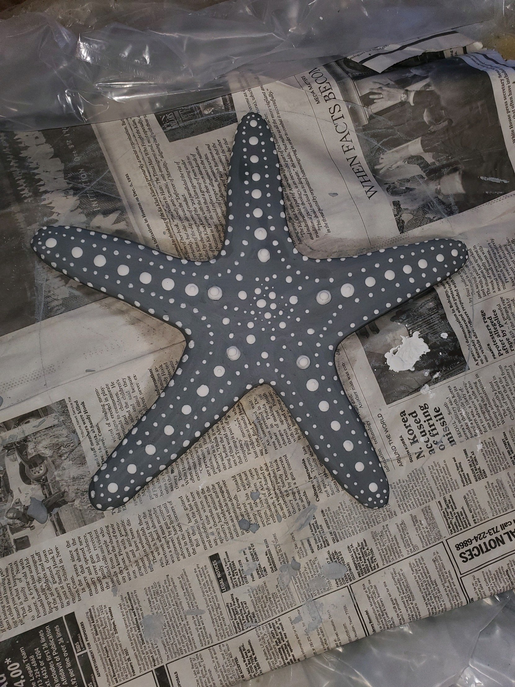 Sea Star Slabs- Brushed with Chrome Metallic Paint