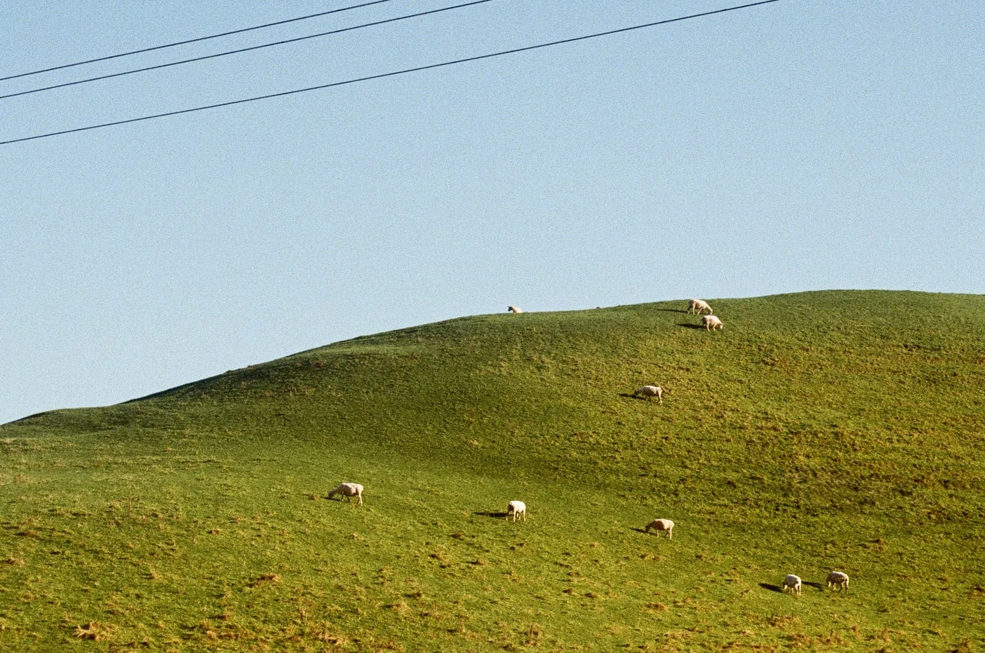 260707212999050034.jpg