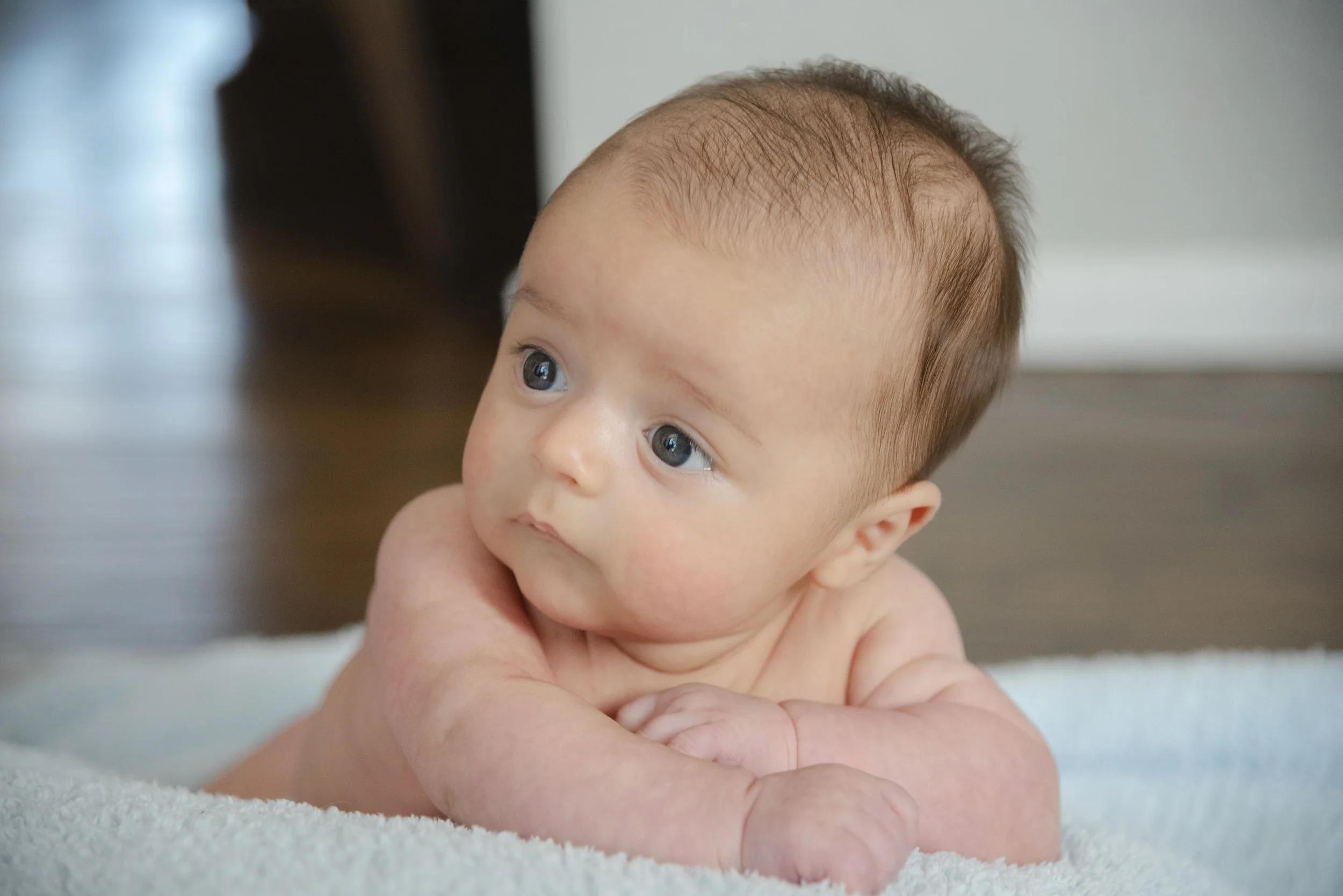 William017.jpg