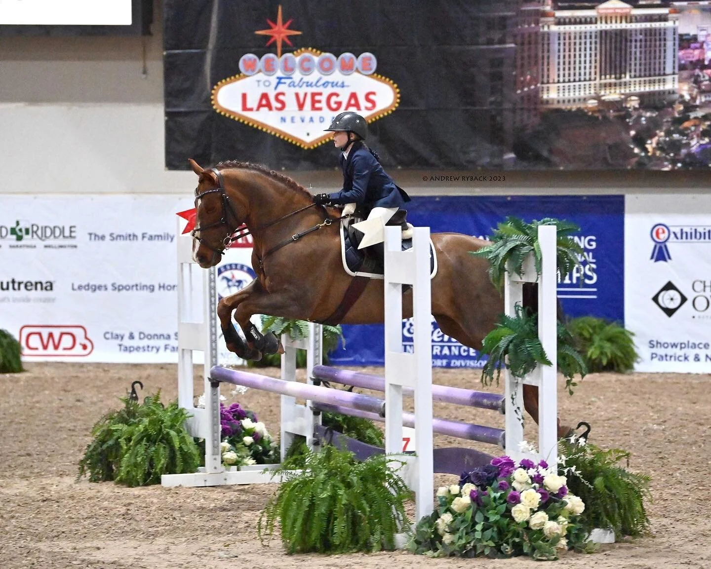 What a week! So many fun things to share! I&rsquo;m so, so proud of Brooklynn and Jettstream. They&rsquo;re really starting to cement their partnership and it&rsquo;s been so fun to watch them. Brooklynn learned more about horse showing this week and