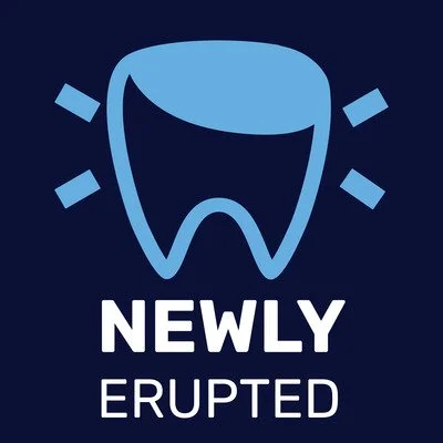 Newly Erupted by American Academy of Pediatric Dentistry