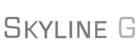 home-brands-skylineg.jpg