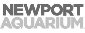 home-brands-newport-aquarium.jpg
