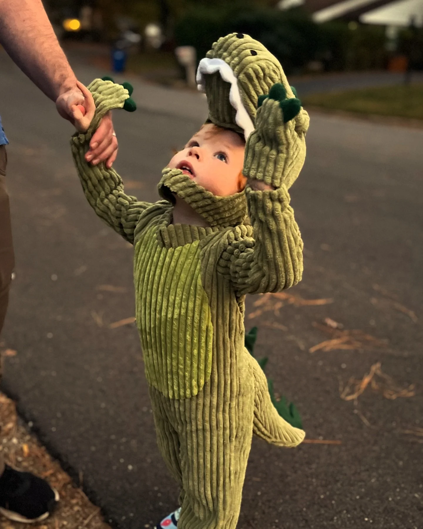 Wishing everyone a Happy Halloween!! 🎃 Our little dinosaur couldn&rsquo;t stop saying &ldquo;so fun!&rdquo; and &ldquo;again!&rdquo;! We hope everyone&rsquo;s kiddos had just as much fun as ours! #happyhalloween #trickortreat