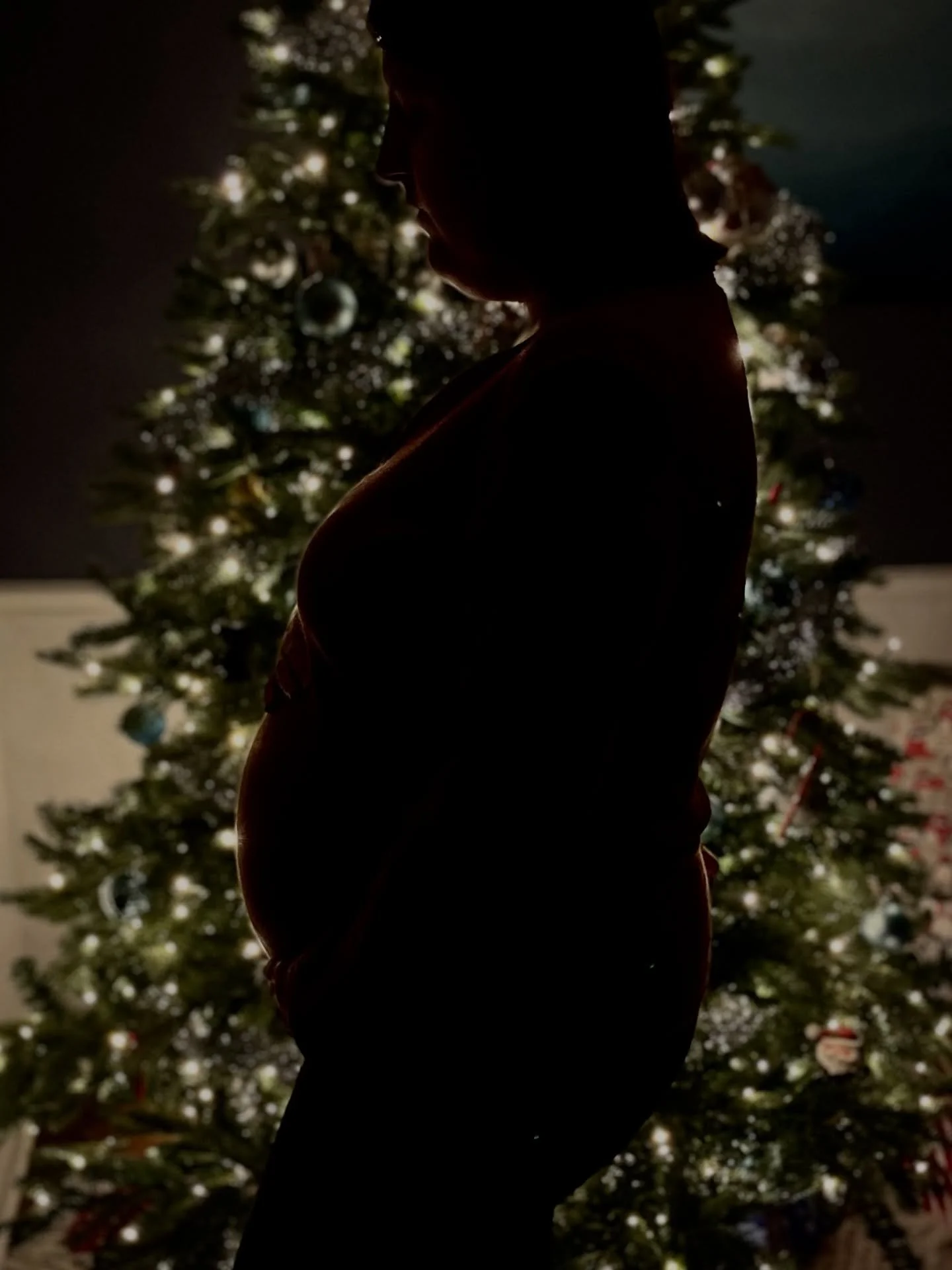 Wishing everyone a Merry Christmas! I realized recently that I haven&rsquo;t made a formal announcement yet so&hellip;we are expecting boy #2 in March and we couldn&rsquo;t be more excited! 

I am looking forward to the new year and new opportunities